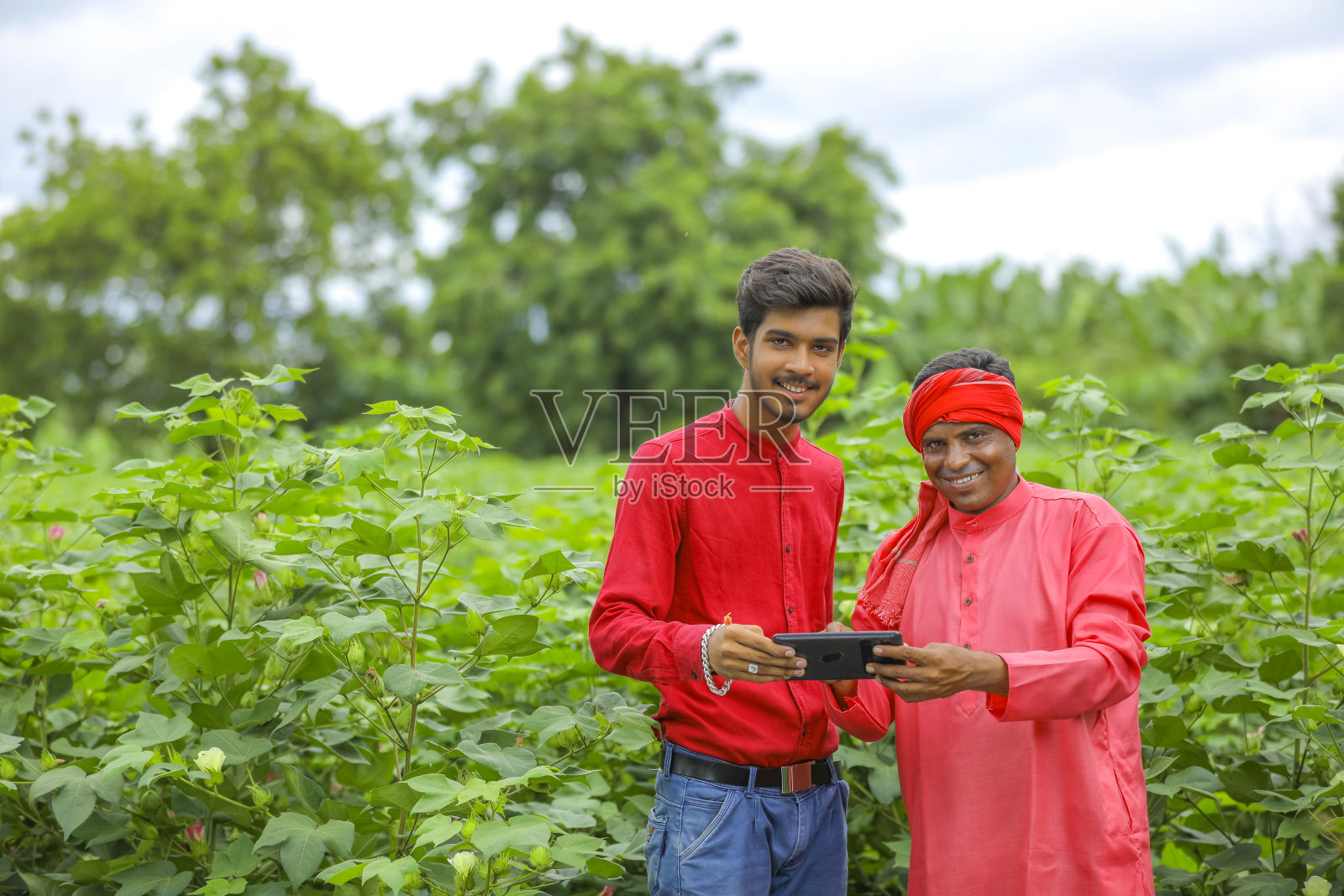年轻的印度农学家在农业领域向农民展示一些信息照片摄影图片