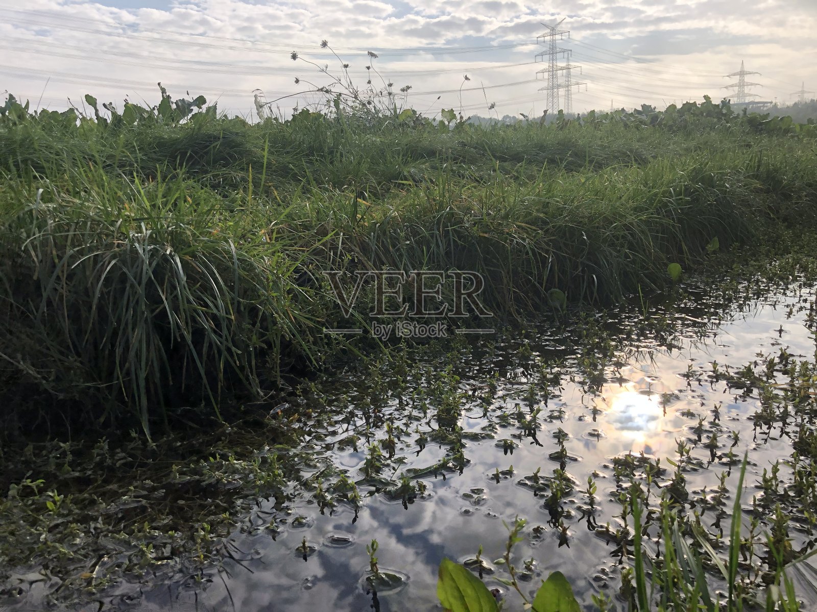 雨后被淹没了照片摄影图片
