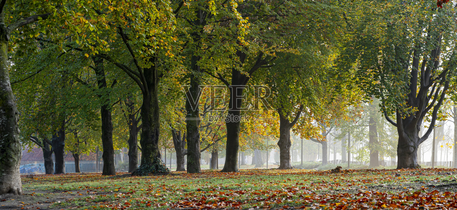 秋天的公园照片摄影图片