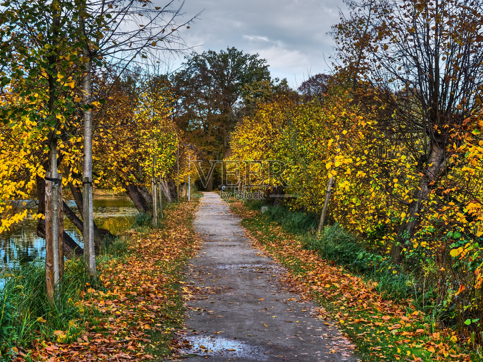 德国明斯特地区的秋天照片摄影图片