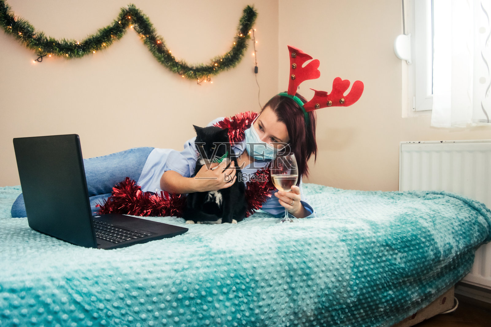 圣诞节和宠物!库存图片照片摄影图片