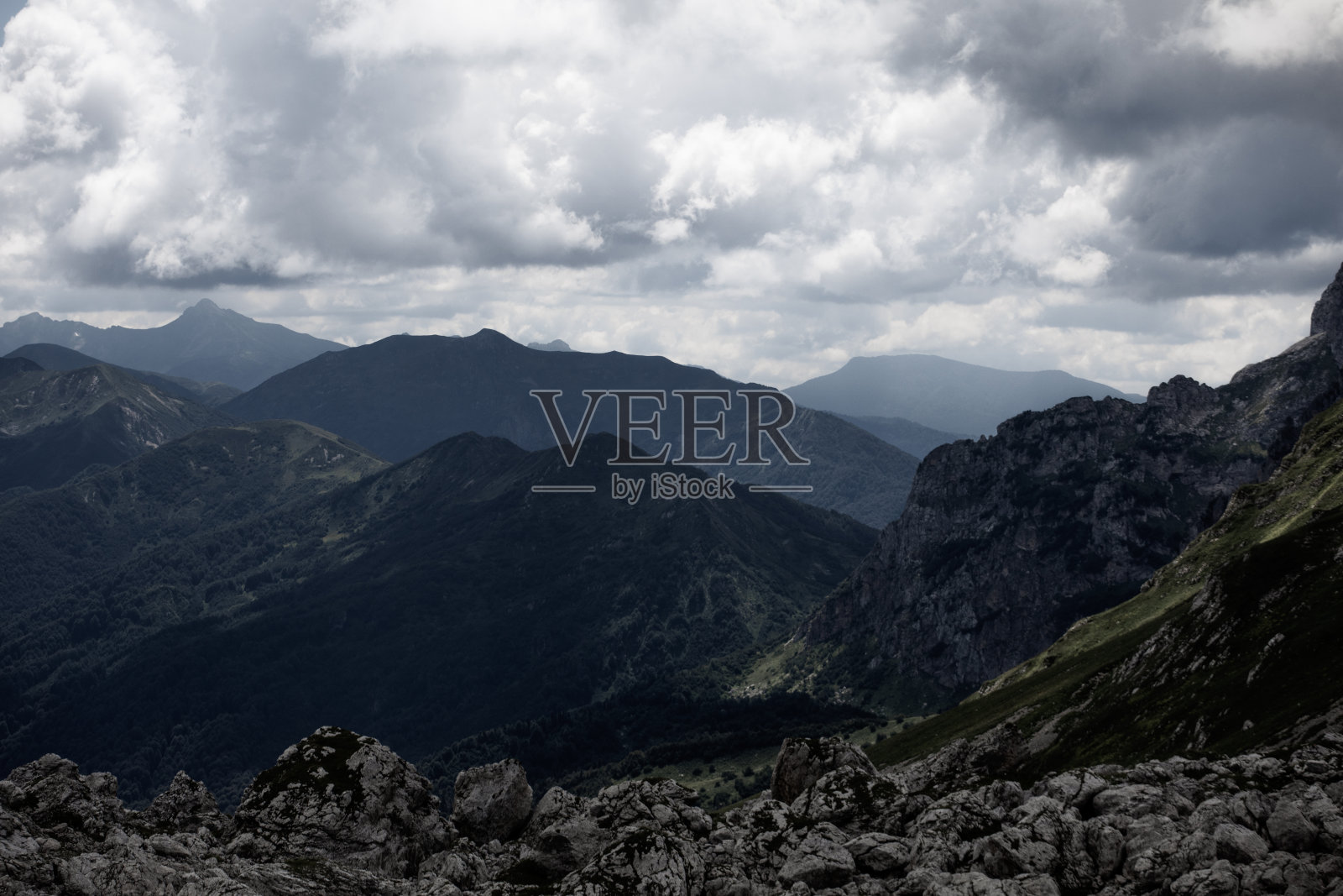 美丽的夏季景色，盛开的高加索山脉高山草甸照片摄影图片