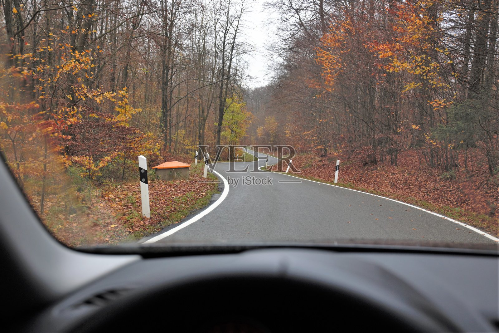 森林中的路照片摄影图片