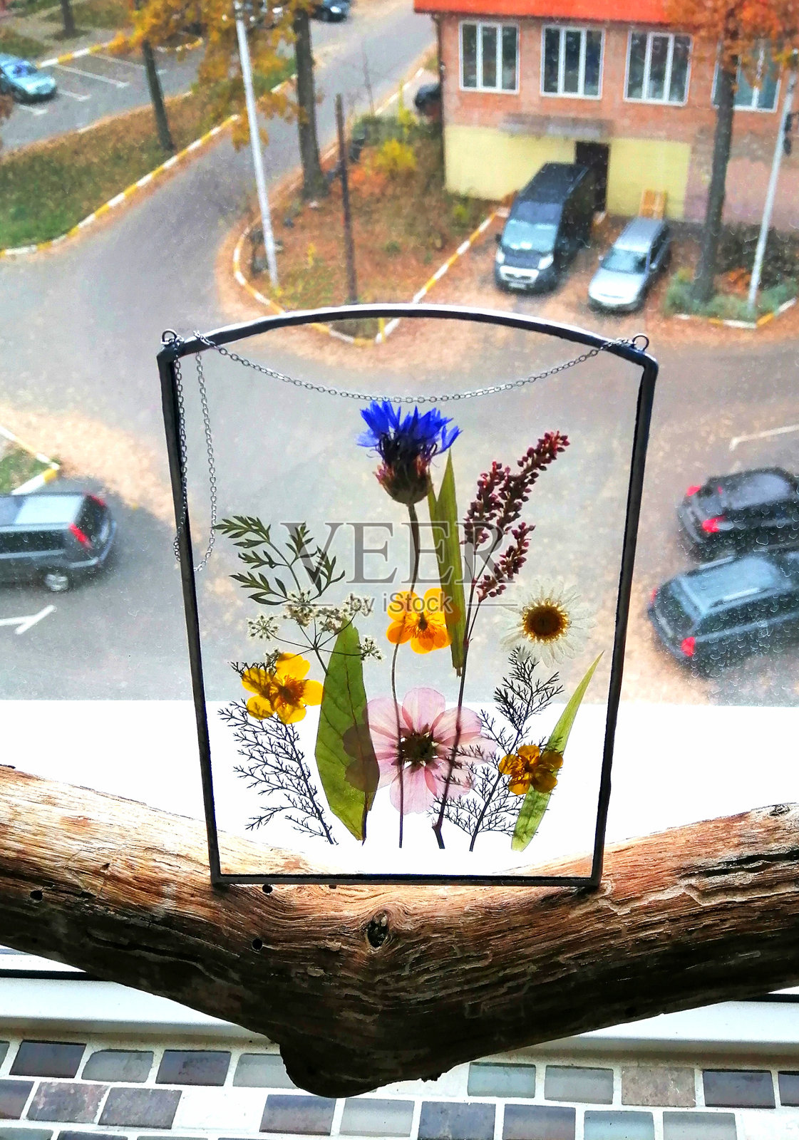 手工彩色玻璃窗，金属框架内的干花和干药草标本室照片摄影图片