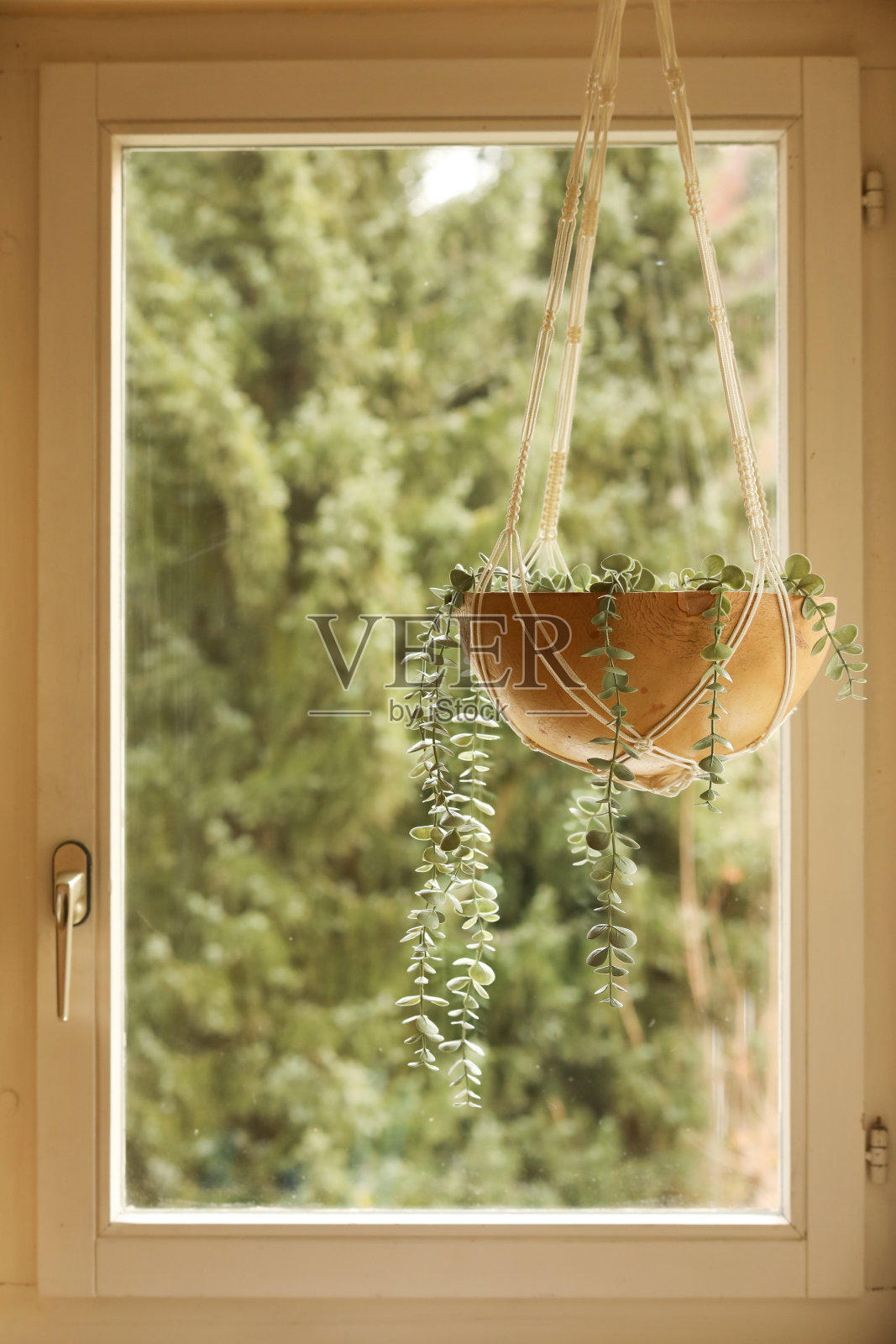 飘落的植物挂在木葫芦里照片摄影图片