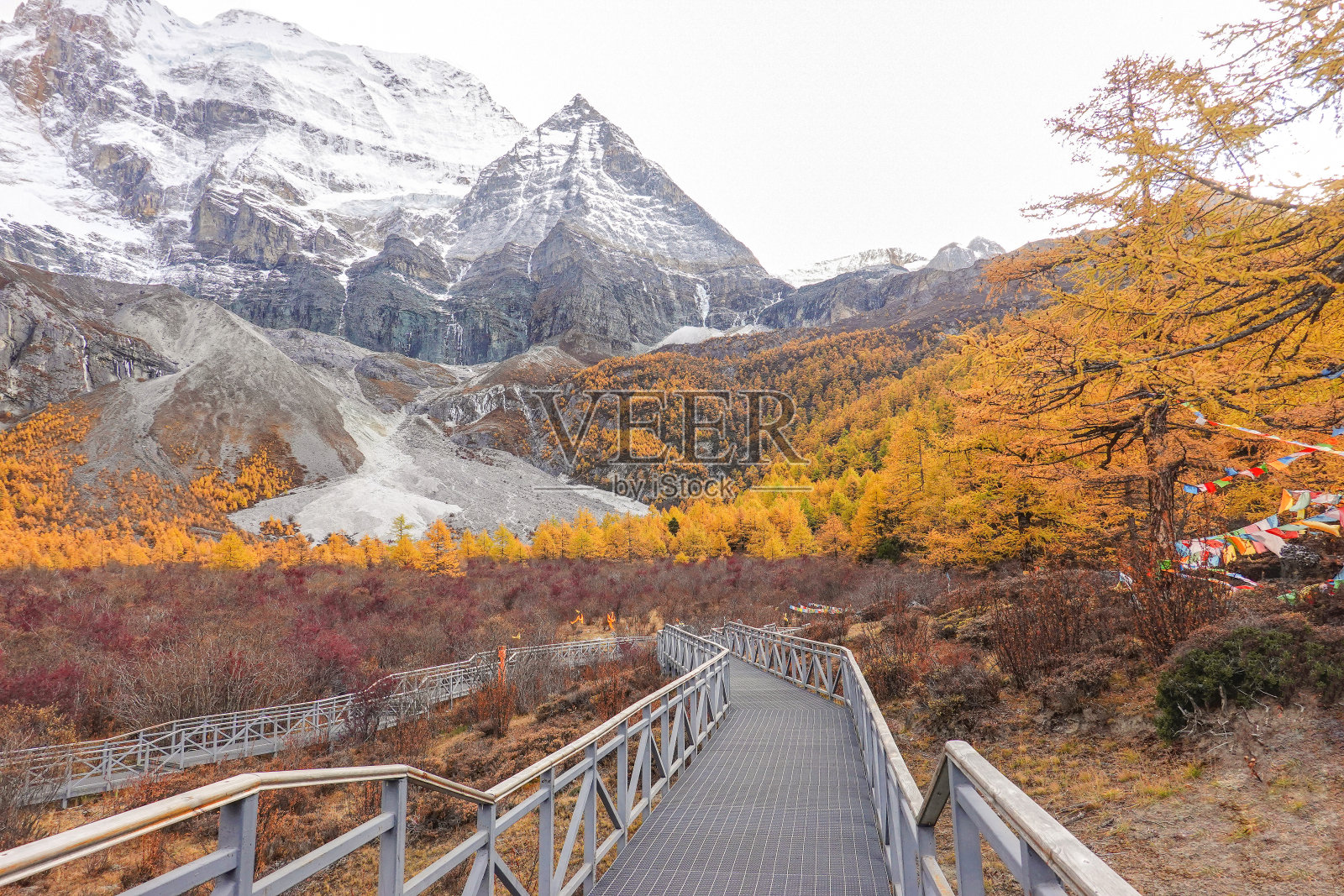 亚丁国家自然保护区的秋景照片摄影图片