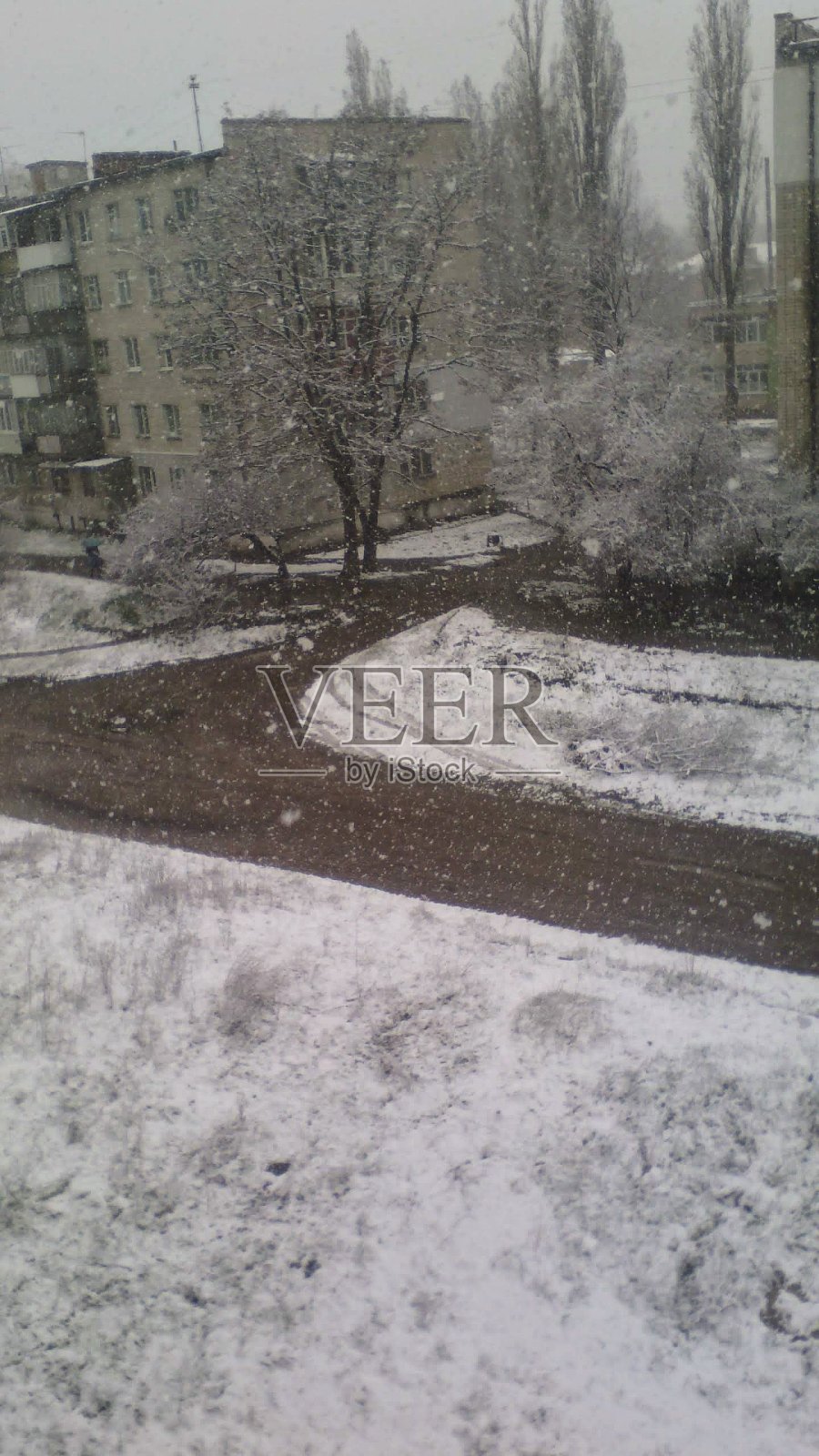 初雪，初雪，非常美丽的落雪照片摄影图片