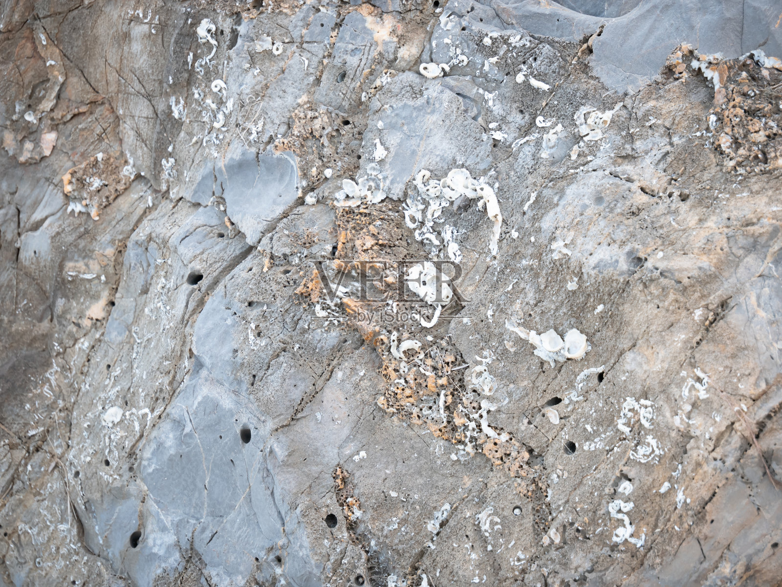 抽象的背景。黑白纹理。照片摄影图片