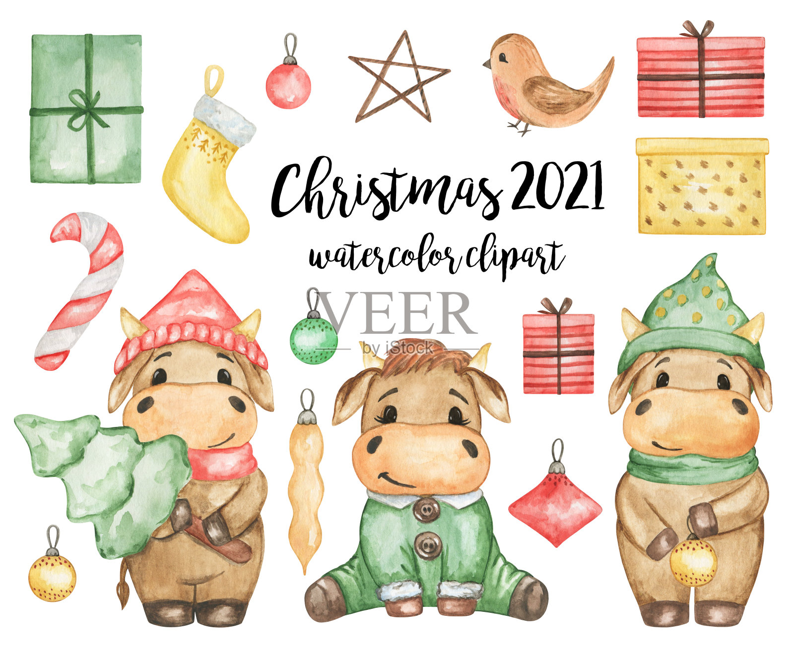 水彩圣诞2021剪贴画，新年快乐项目设置孤立，圣诞公牛水彩剪贴画，手绘圣诞快乐插图插画图片素材