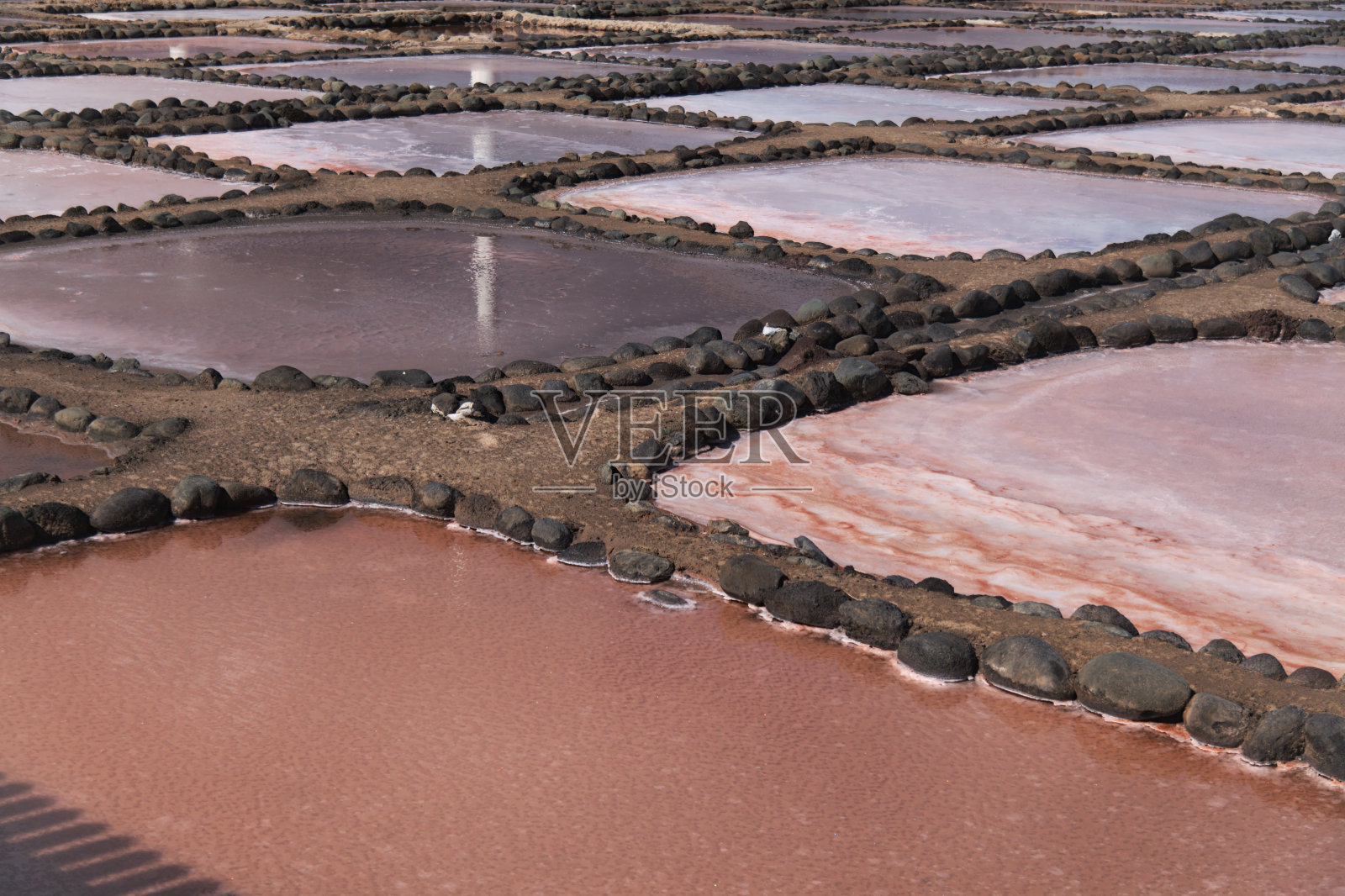 格兰卡纳利亚，萨利纳斯德特内费18世纪的盐蒸发池，海盐的生产者，多次烹饪奖得主照片摄影图片
