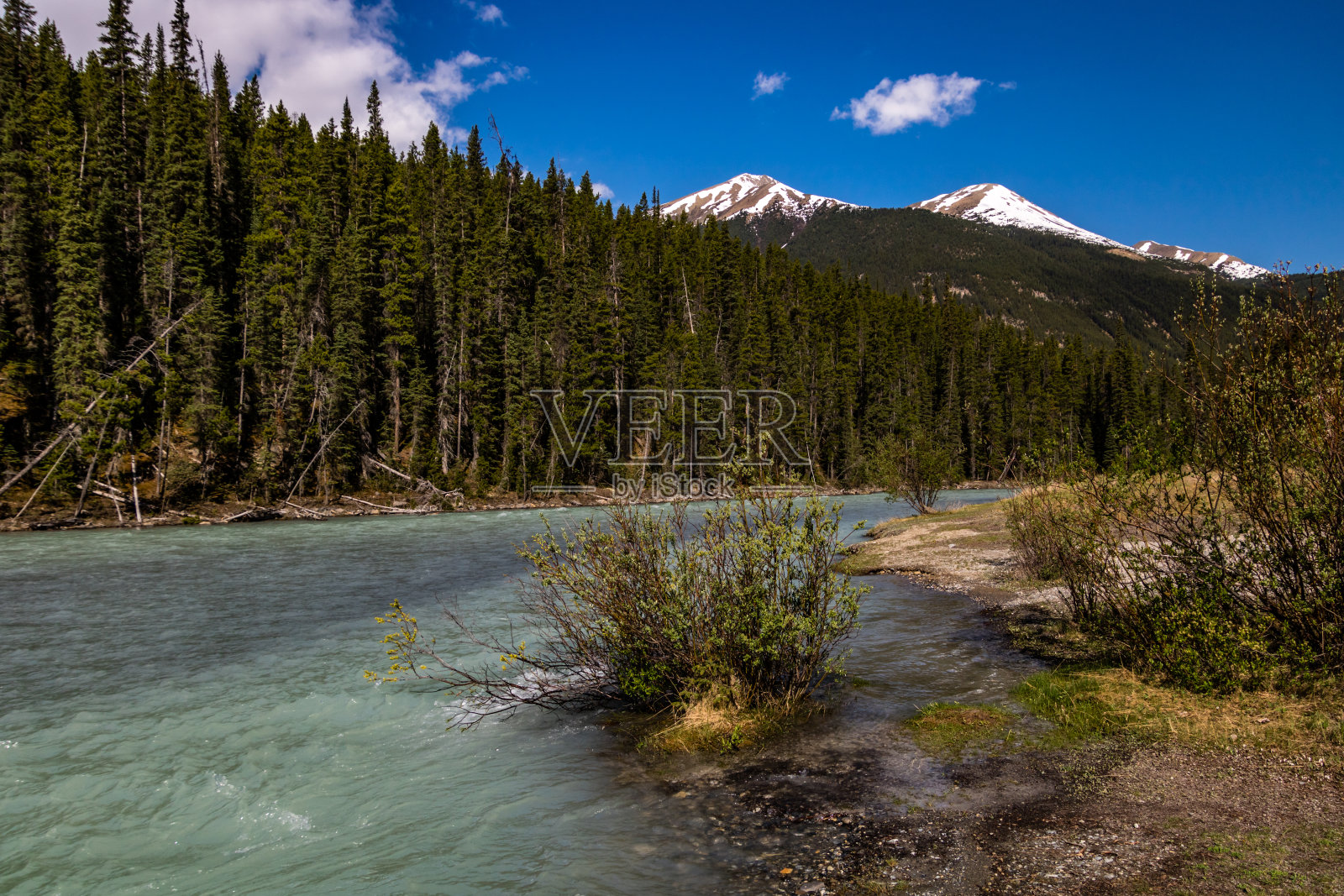 科尔曼·克里克在乡间漫步。班夫国家公园，加拿大阿尔伯塔省照片摄影图片