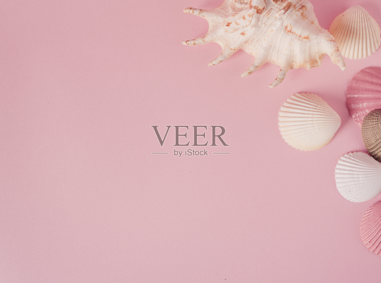 创意夏季概念顶视图的粉红色背景沙丘，贝壳照片摄影图片