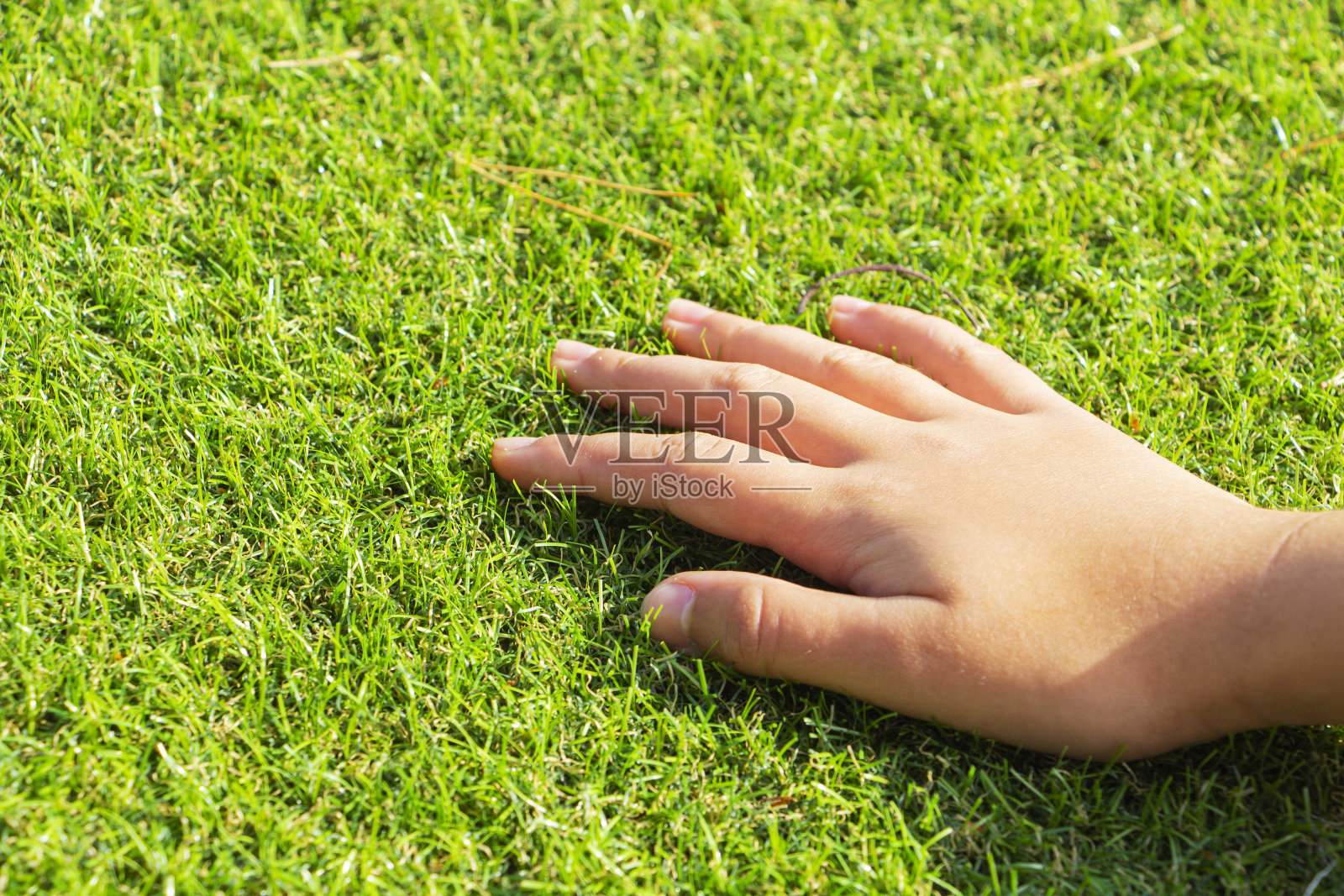 女人的手触摸着草地。人造草皮不是真正的草。照片摄影图片