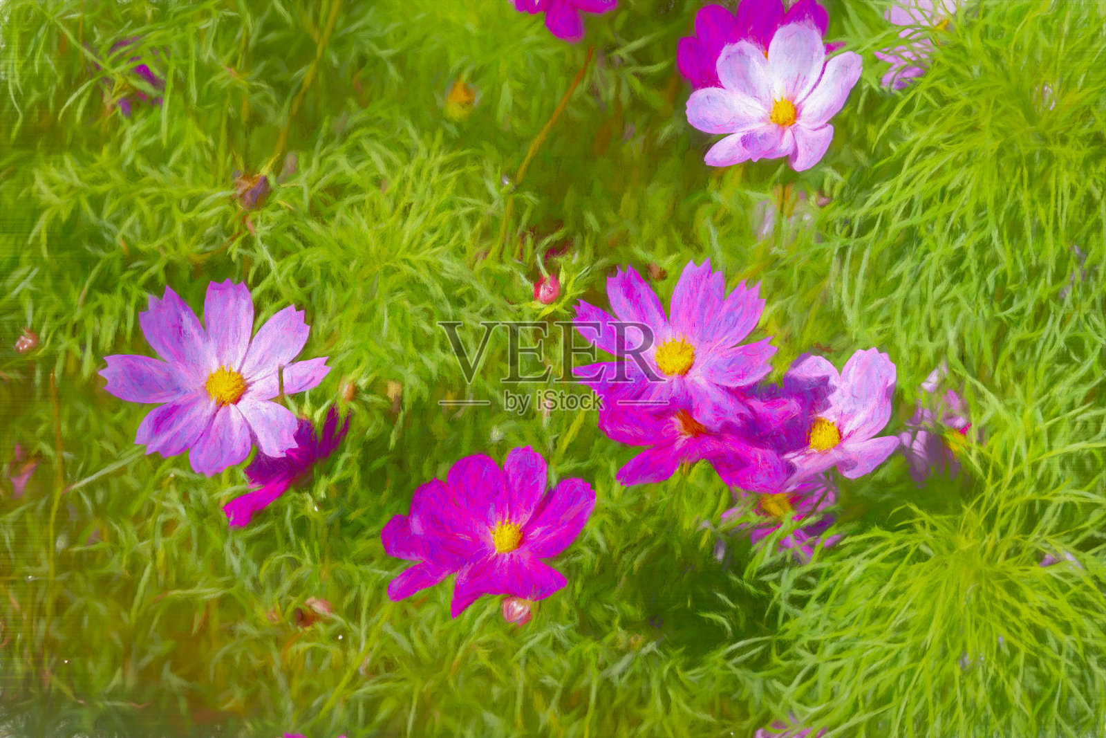 宇宙的花照片摄影图片