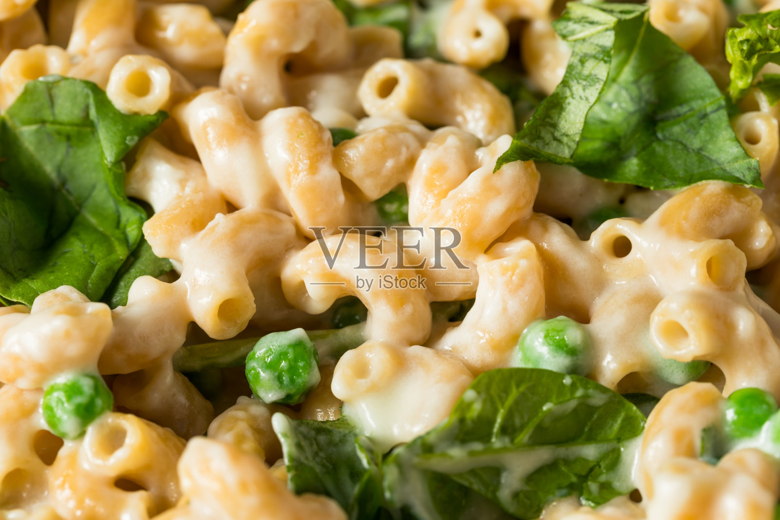 健康的自制奶酪通心粉照片摄影图片