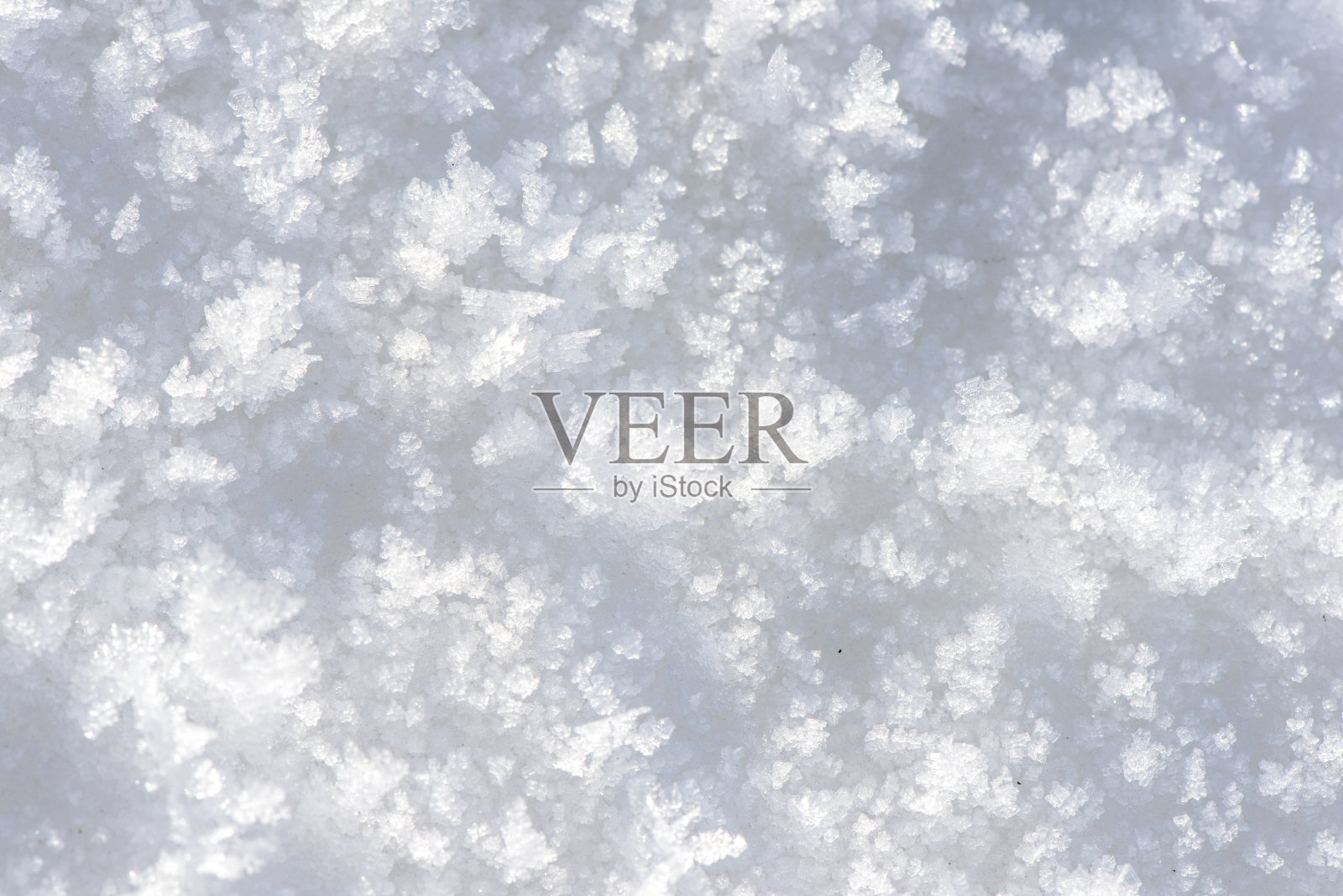 冬天新鲜的粉状雪的细节照片摄影图片