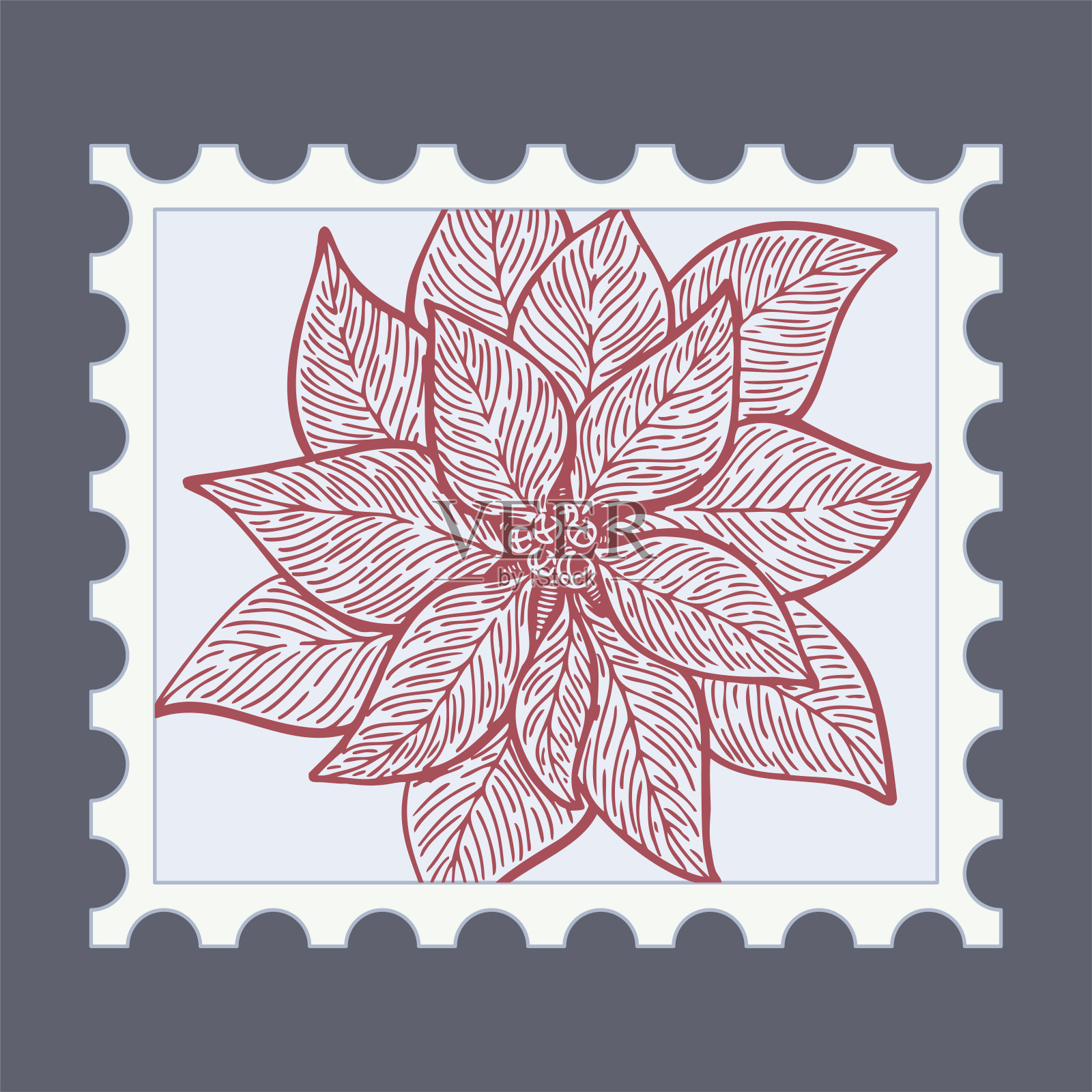 一品红花。圣诞邮票与节日复古插图。邮票帧。向量插画图片素材