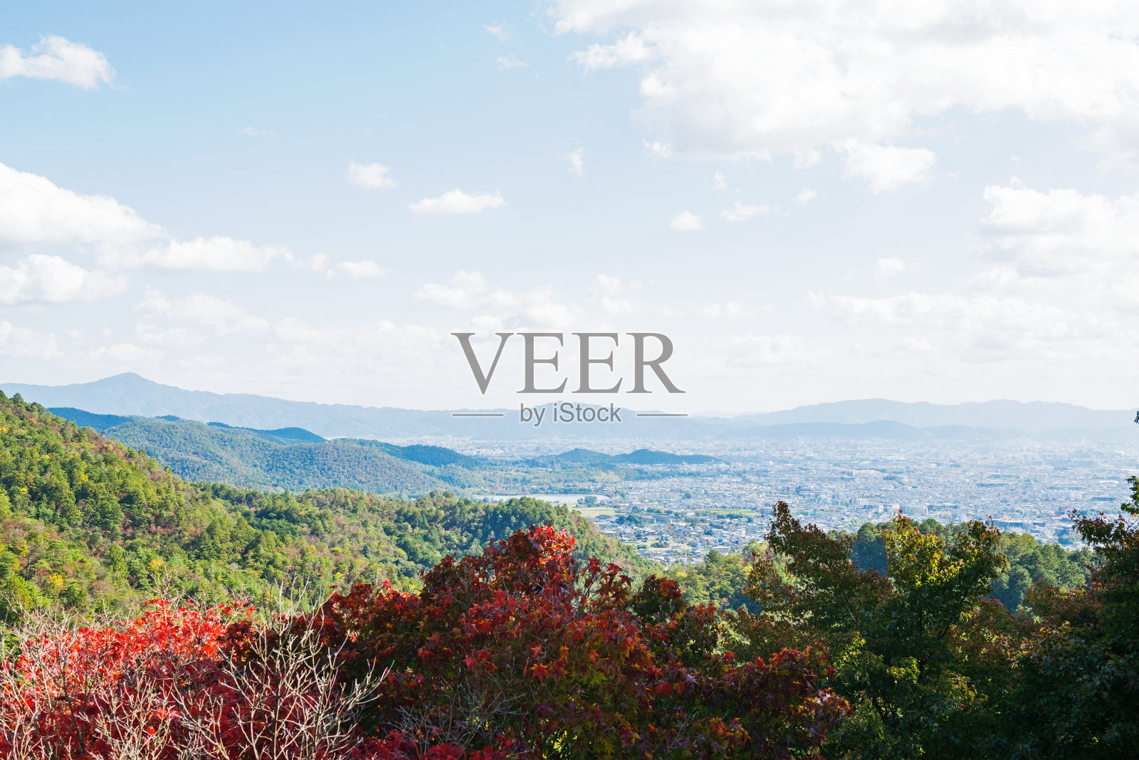 岚山高雄公园路的景色照片摄影图片