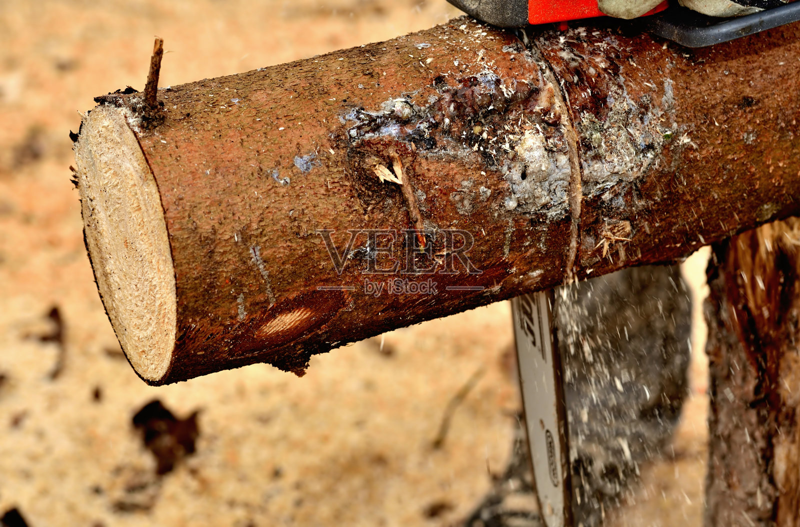 锯木头时链锯的细节照片摄影图片