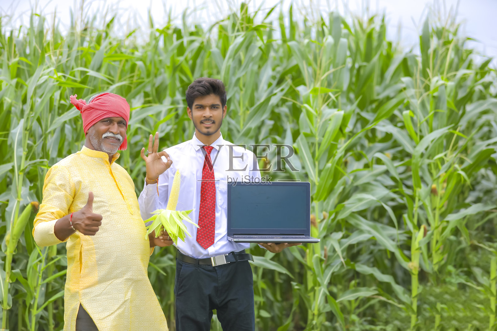 印度农民与农学家在玉米田和显示笔记本电脑屏幕照片摄影图片