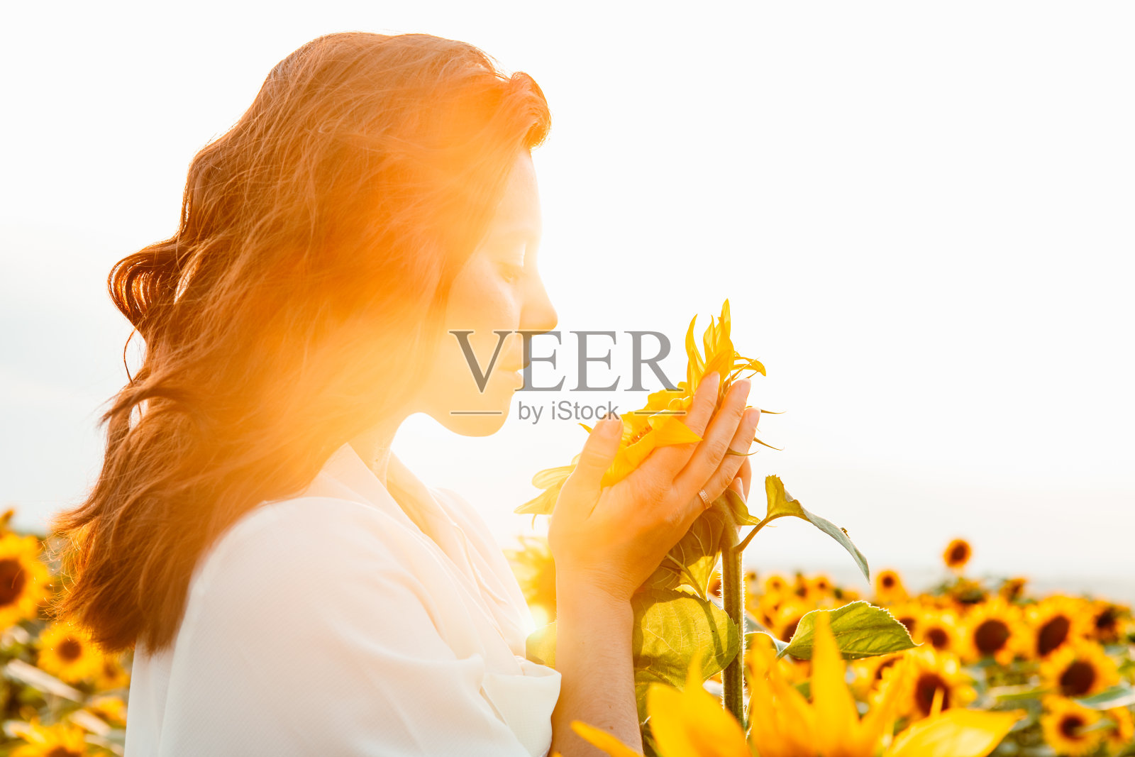 年轻美丽的女人在向日葵田日落照片摄影图片