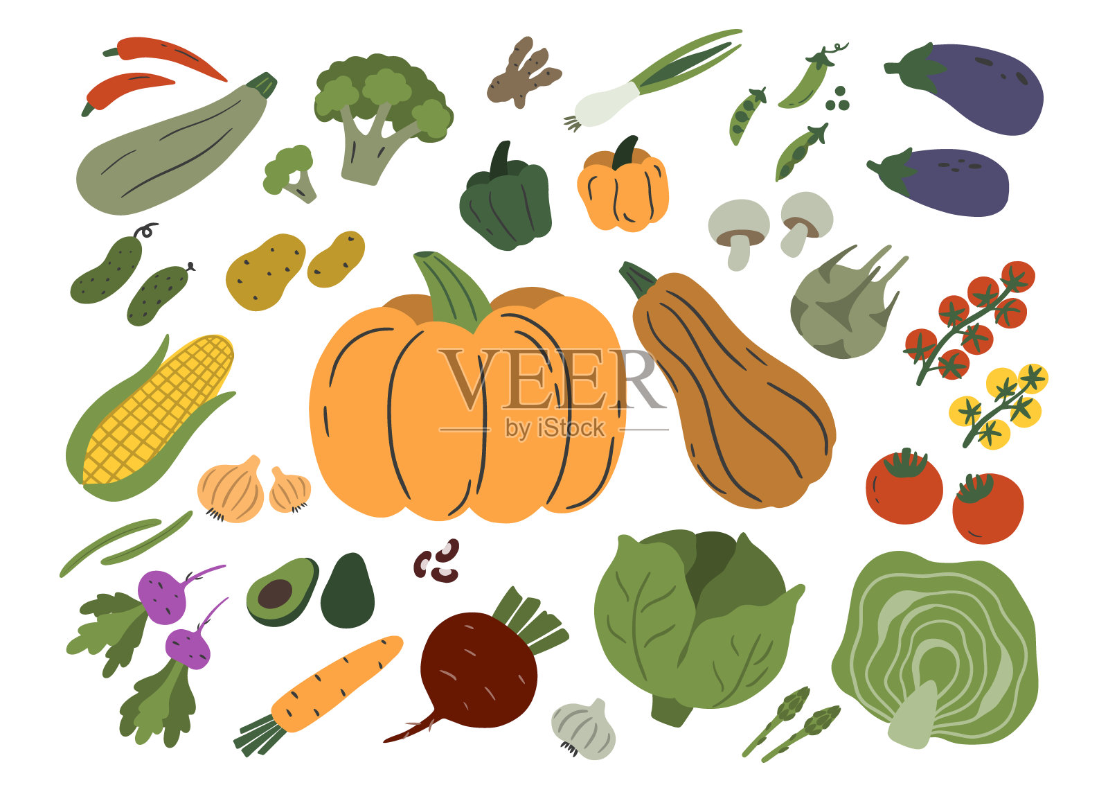 蔬菜孤立在白色背景上。插画图片素材
