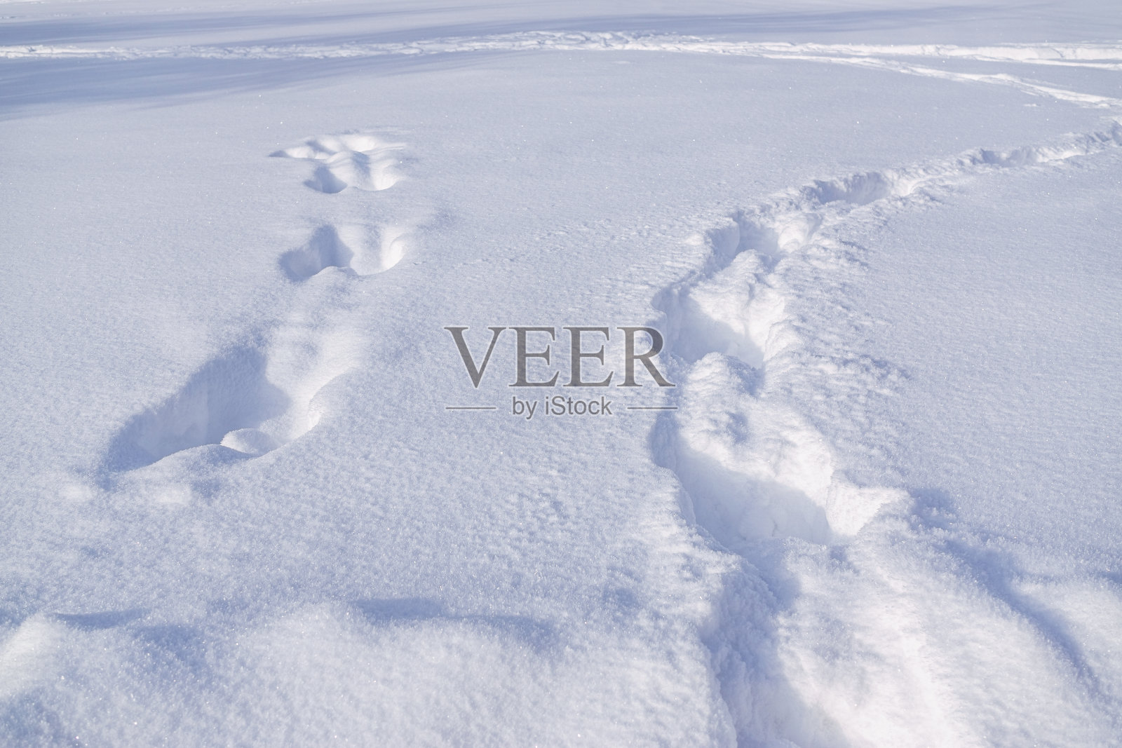 雪的痕迹照片摄影图片