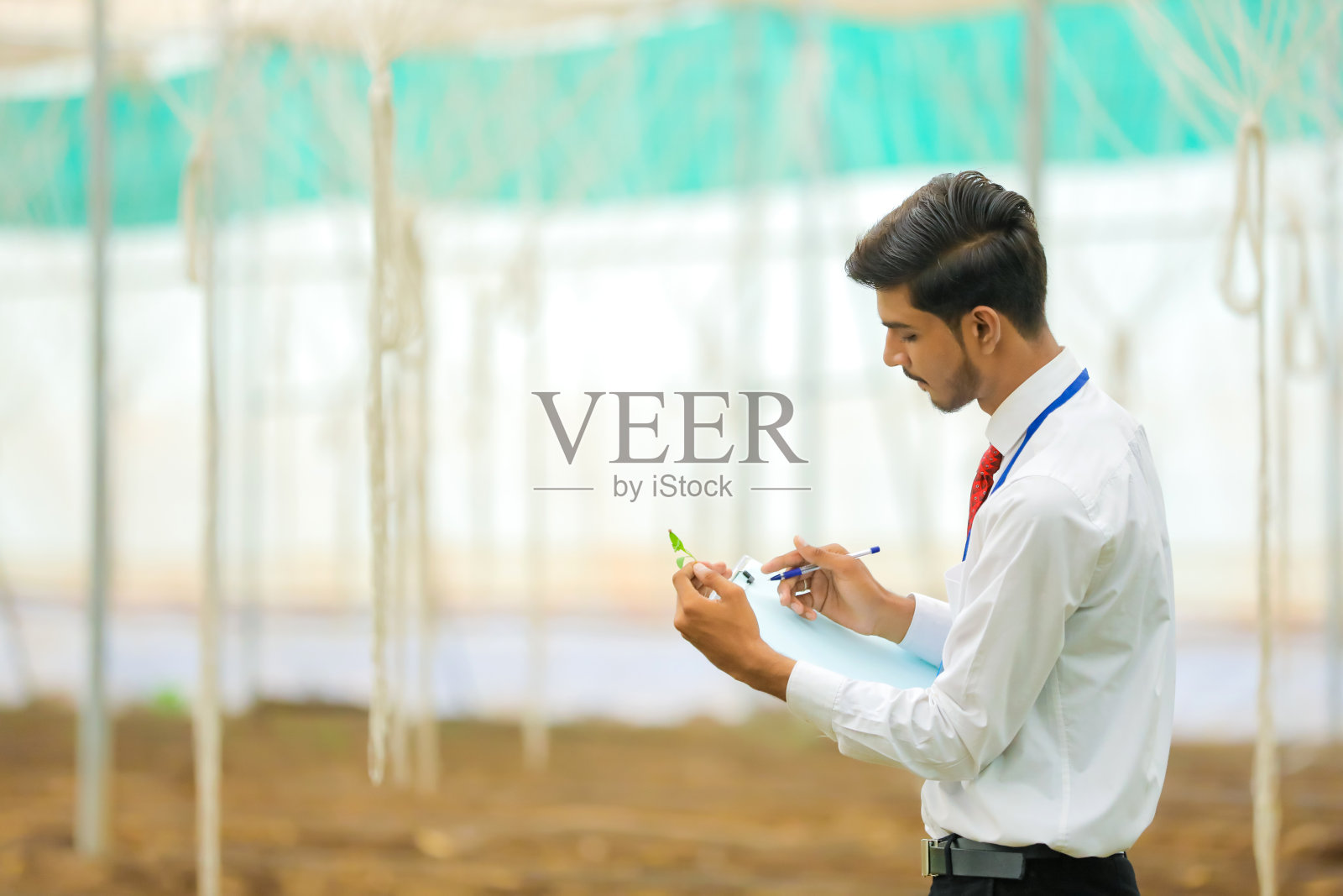 年轻的印度农学家在温室里用记事本收集信息照片摄影图片