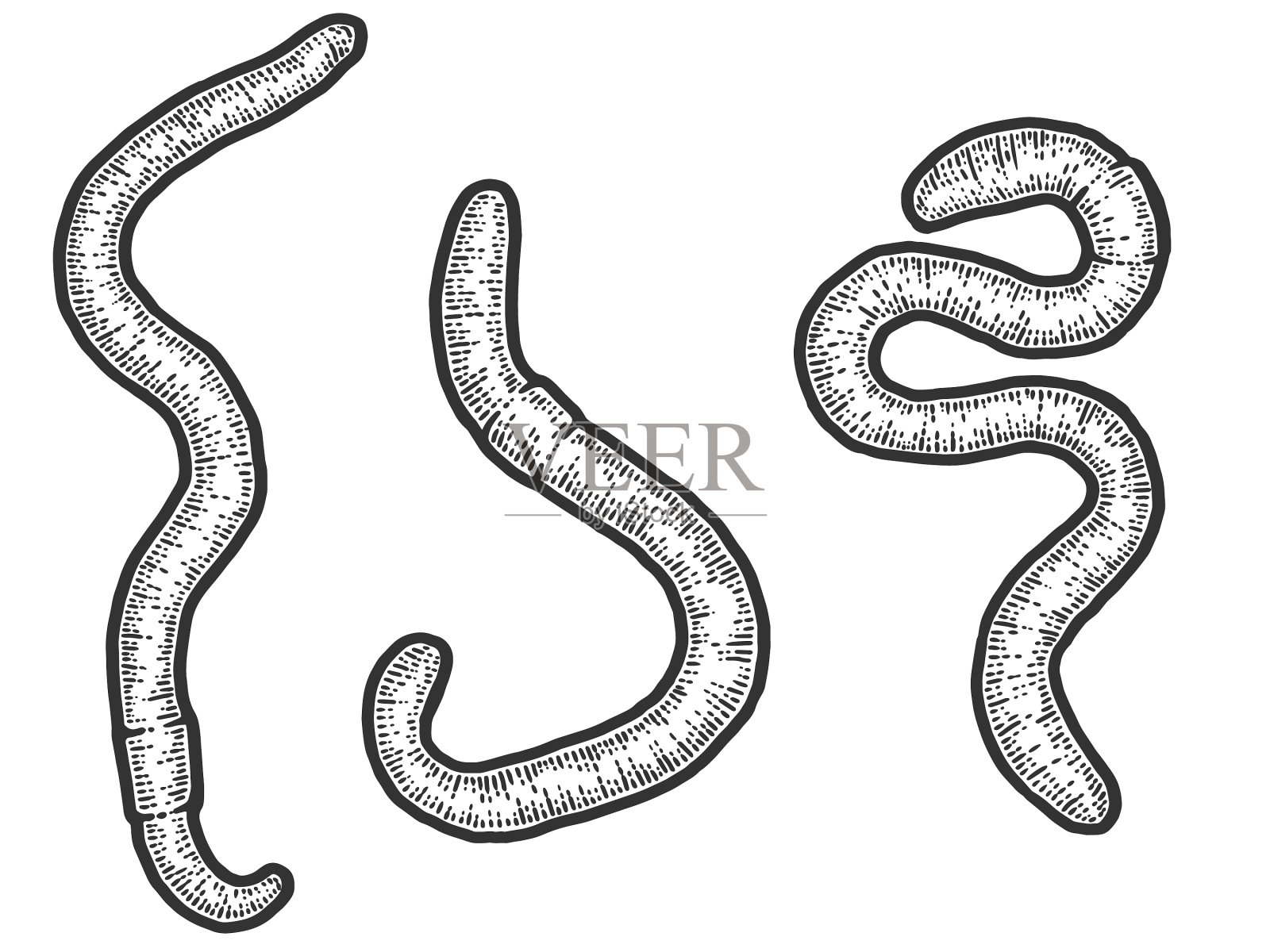 设置三条蚯蚓素描画板设计元素图片