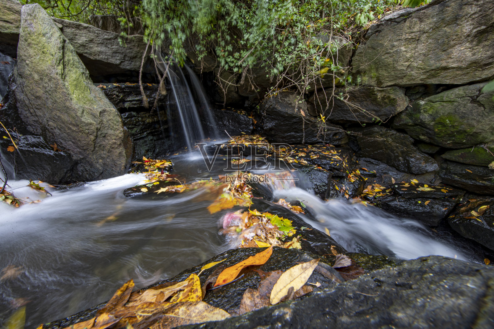 水从中央公园的岩石和树叶中流过照片摄影图片