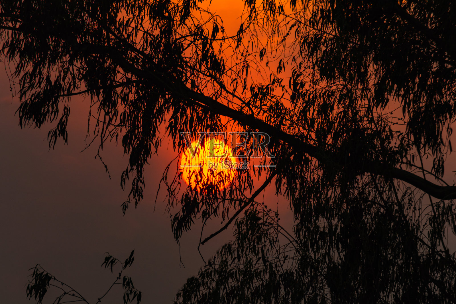 美丽的日落，红艳艳的太阳照片摄影图片