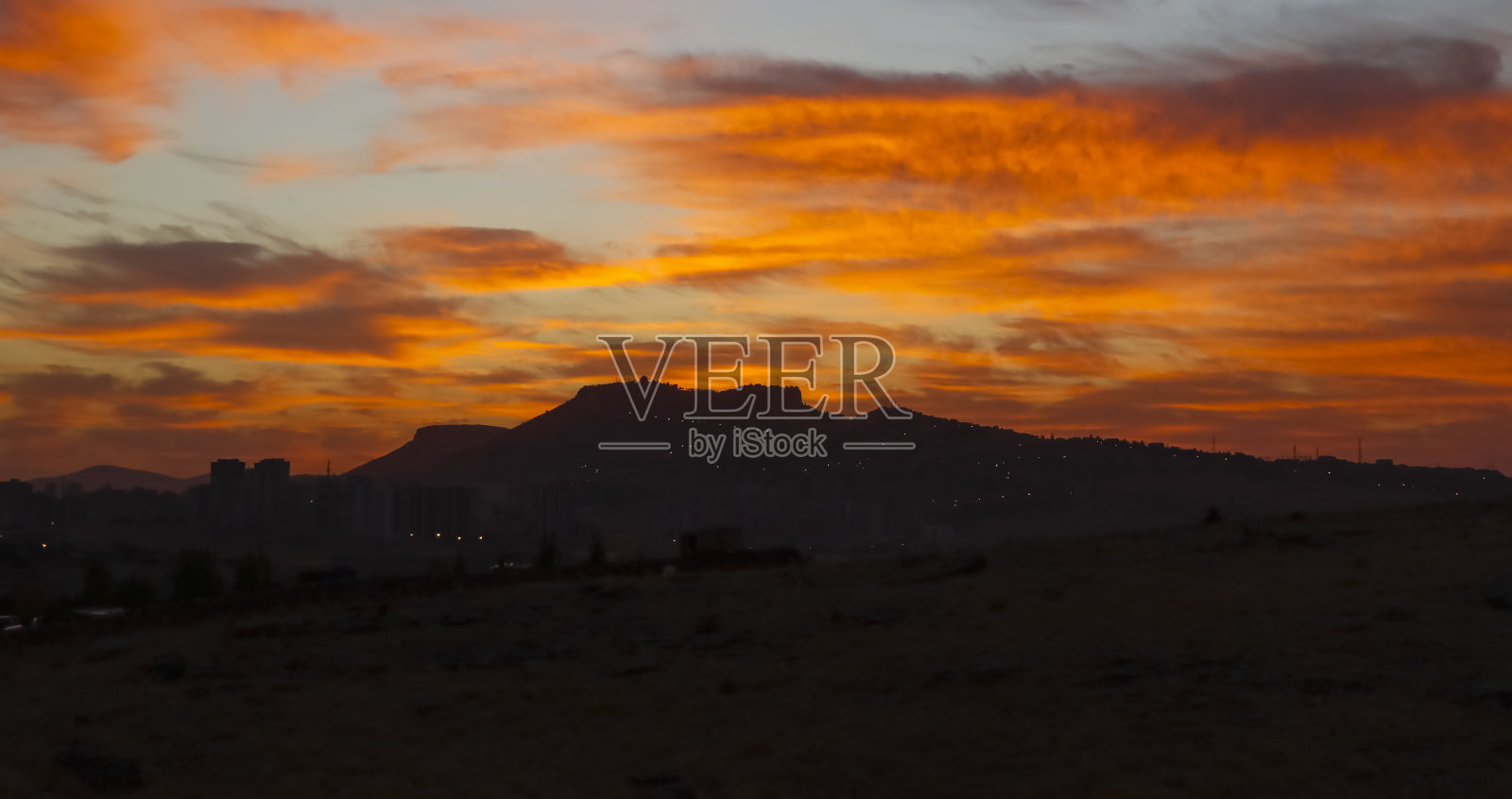 马丁照片摄影图片