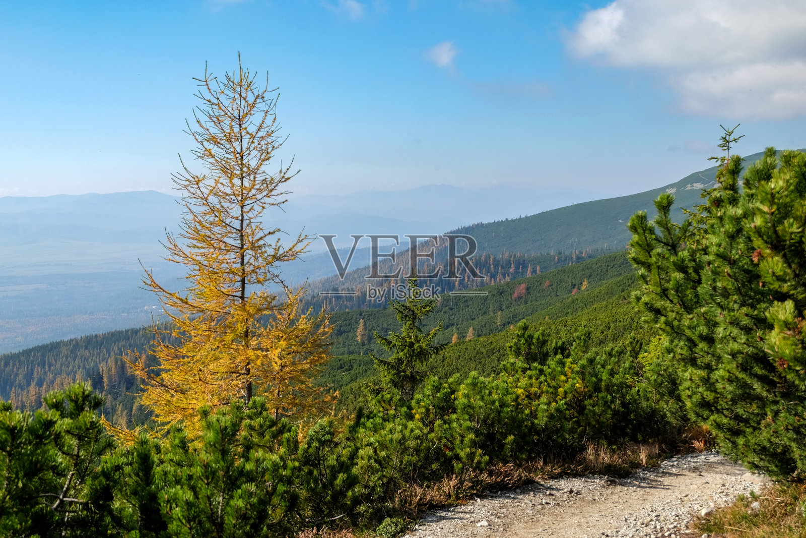 来自大冷谷附近的斯洛伐克塔特拉人的秋天印象照片摄影图片