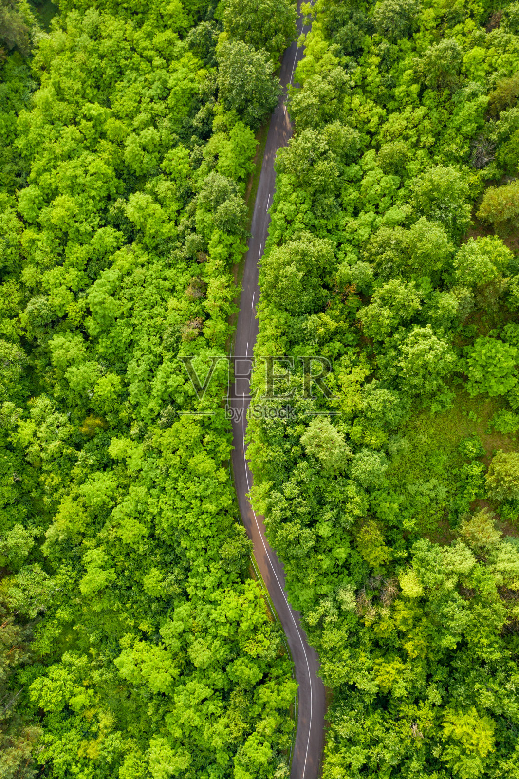 路无人机视图照片摄影图片