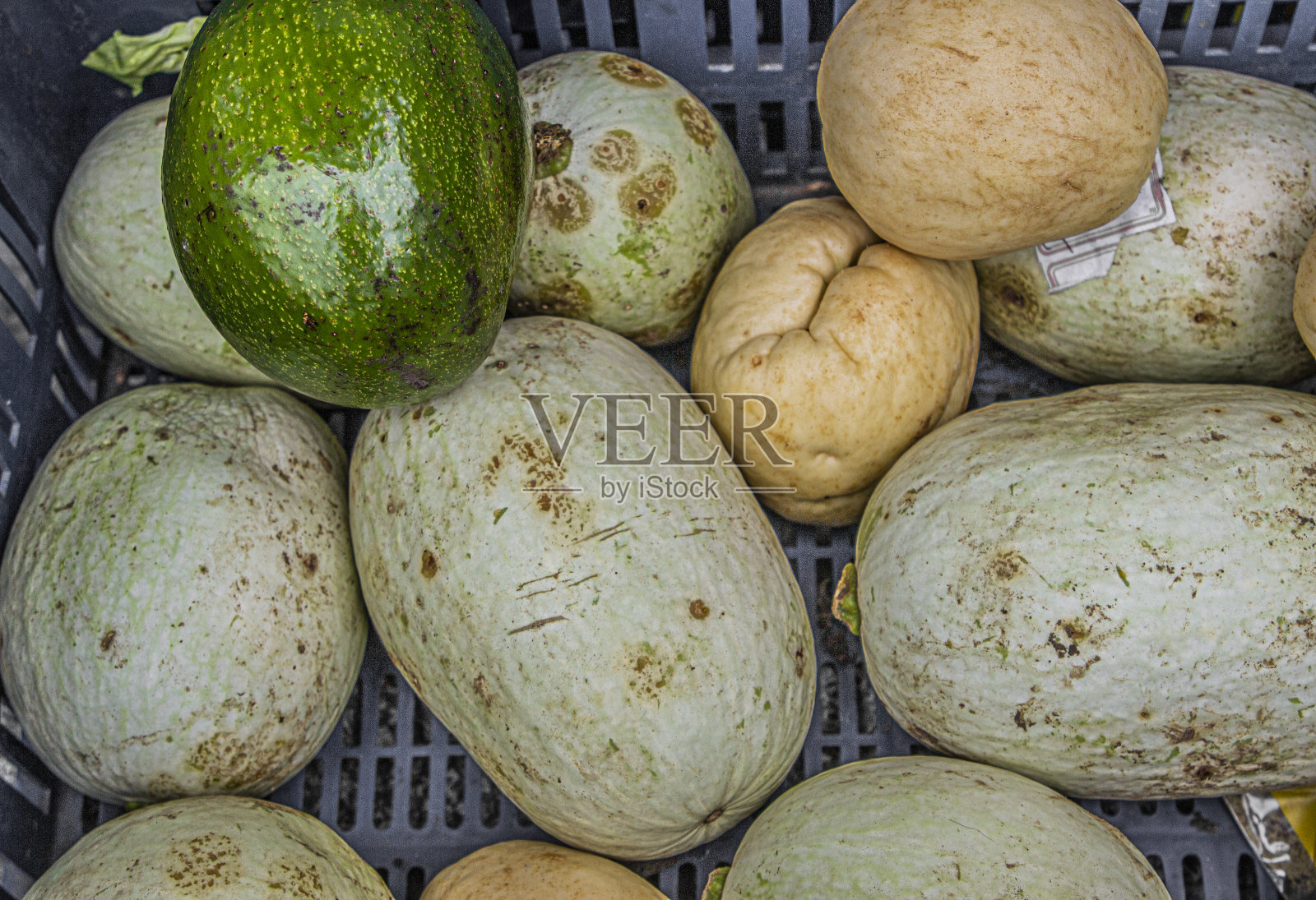 鳄梨和维多利亚照片摄影图片