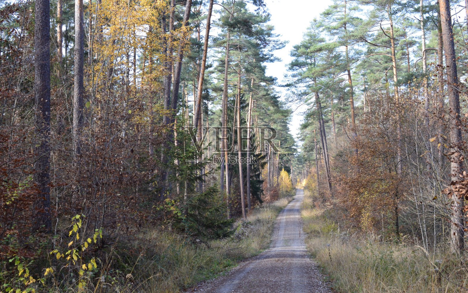 秋天的风景照片摄影图片