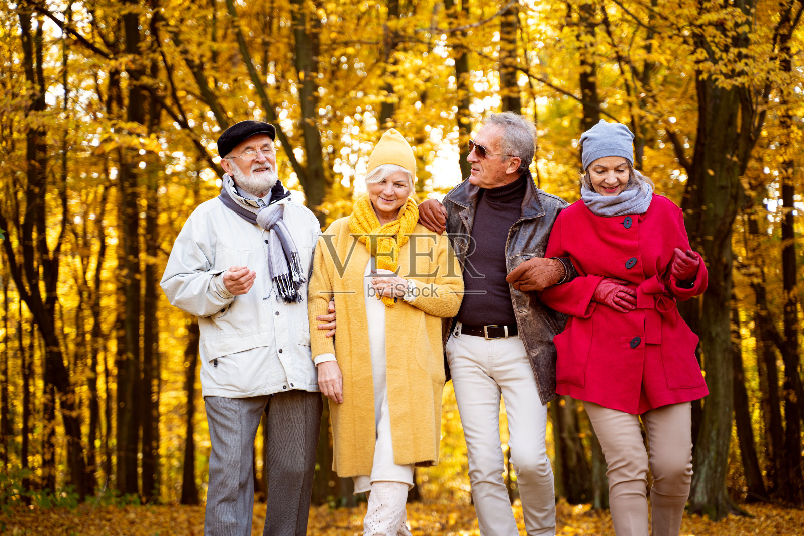 一群快乐的老年朋友在秋天的公园里散步。照片摄影图片