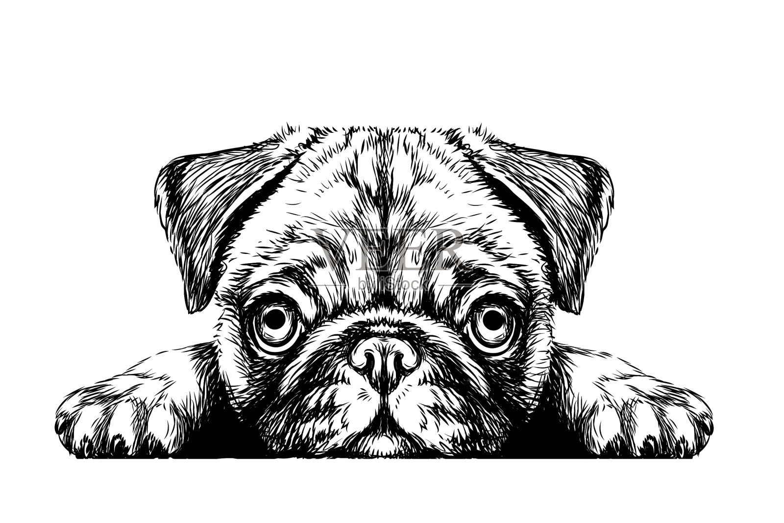 哈巴狗贴纸以图形的形式贴在墙上设计元素图片