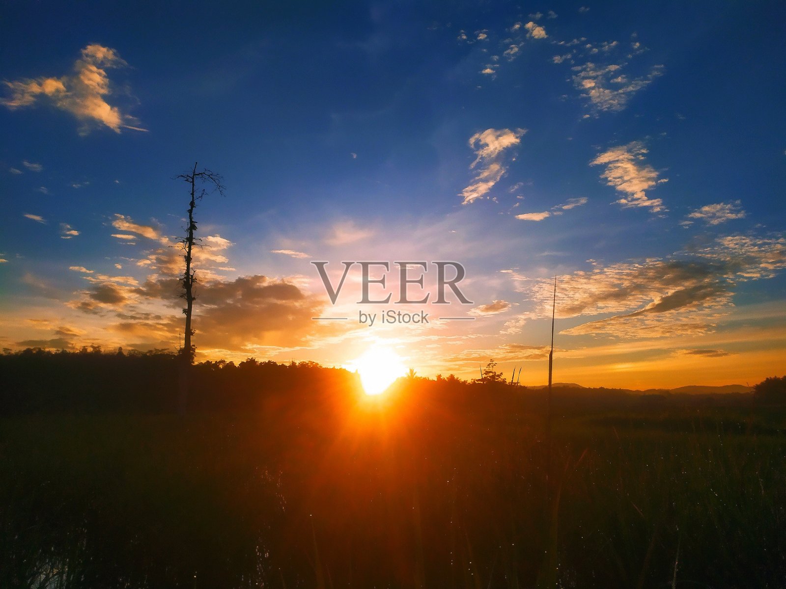 日出照片摄影图片