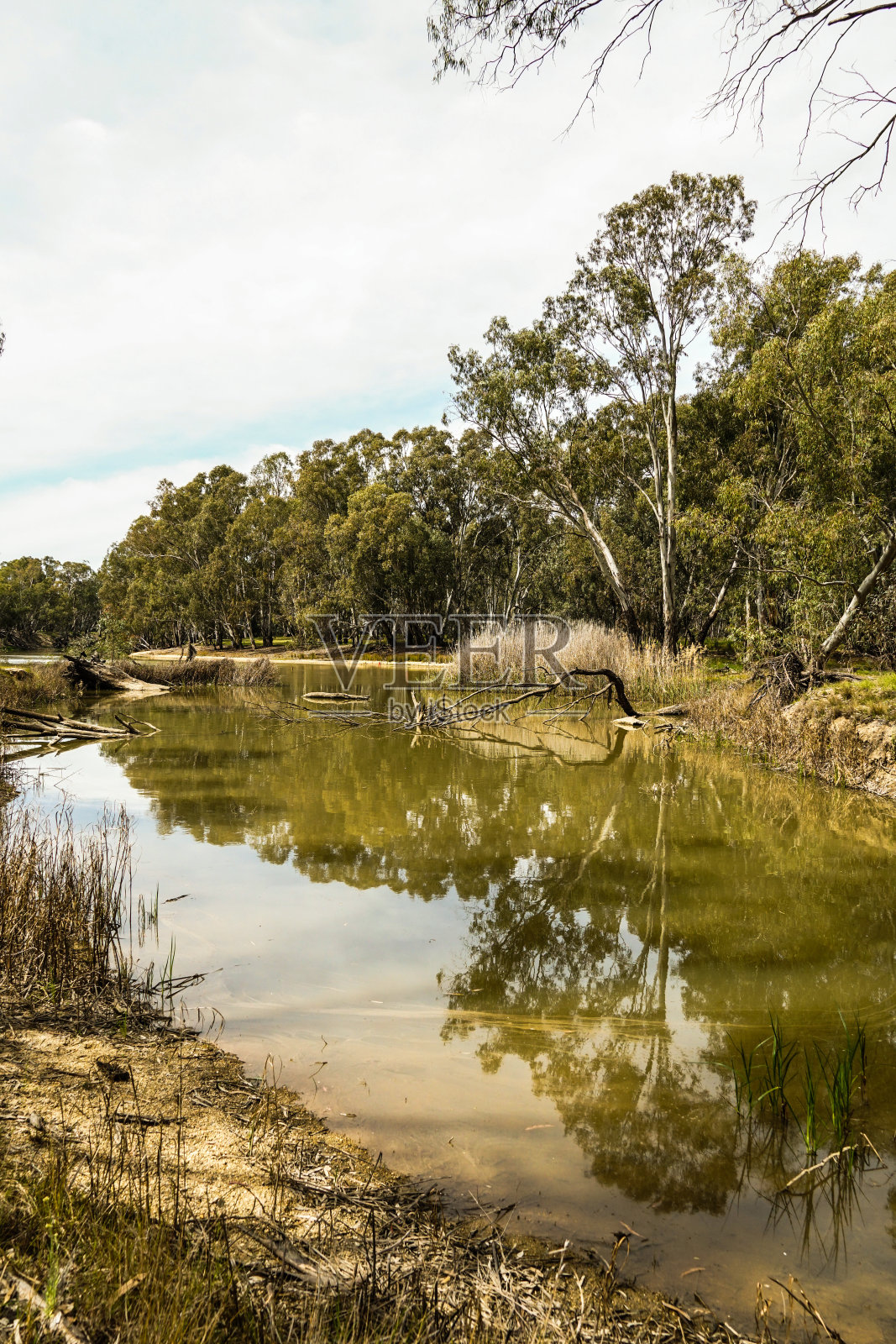迪尼利昆，新南威尔士，澳大利亚照片摄影图片