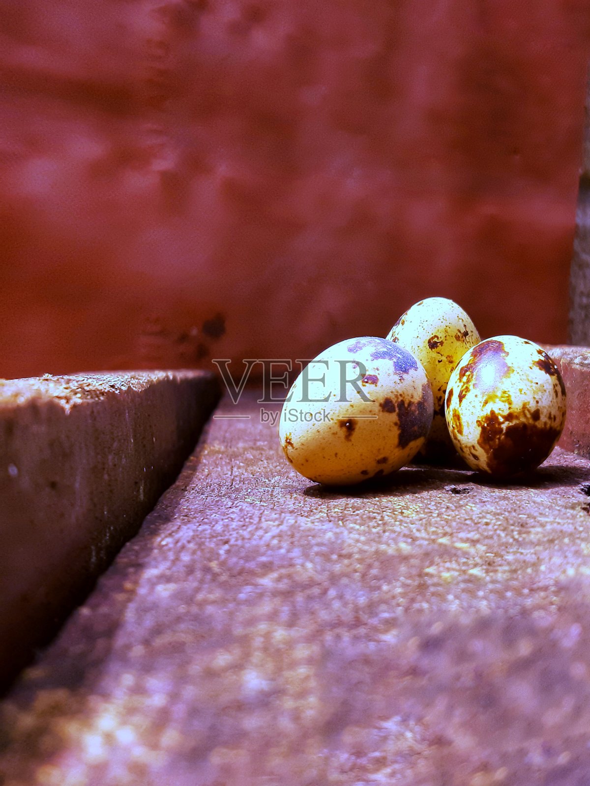木头上有三个小蛋照片摄影图片