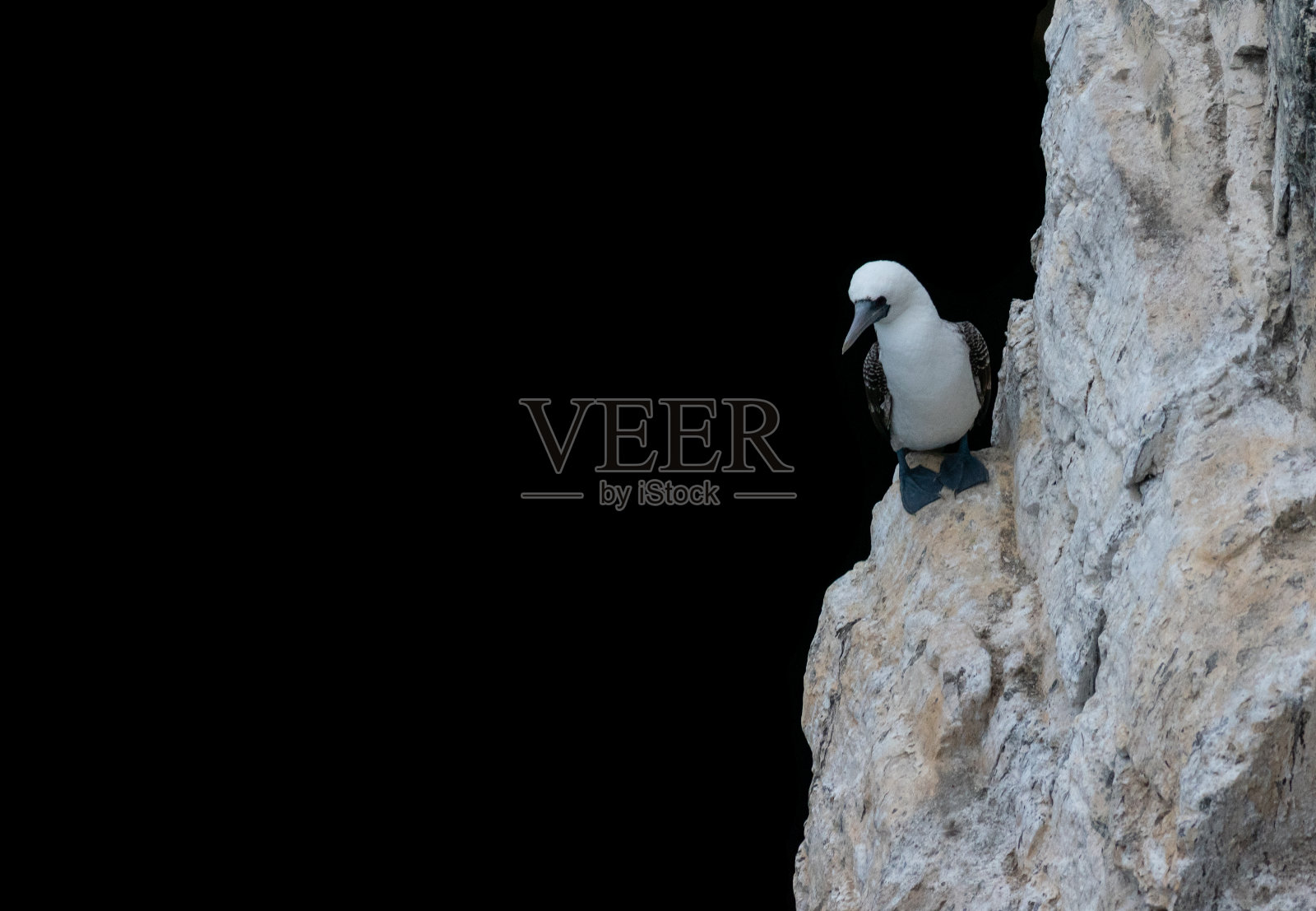 智利的恶魔岛站在悬崖边上照片摄影图片