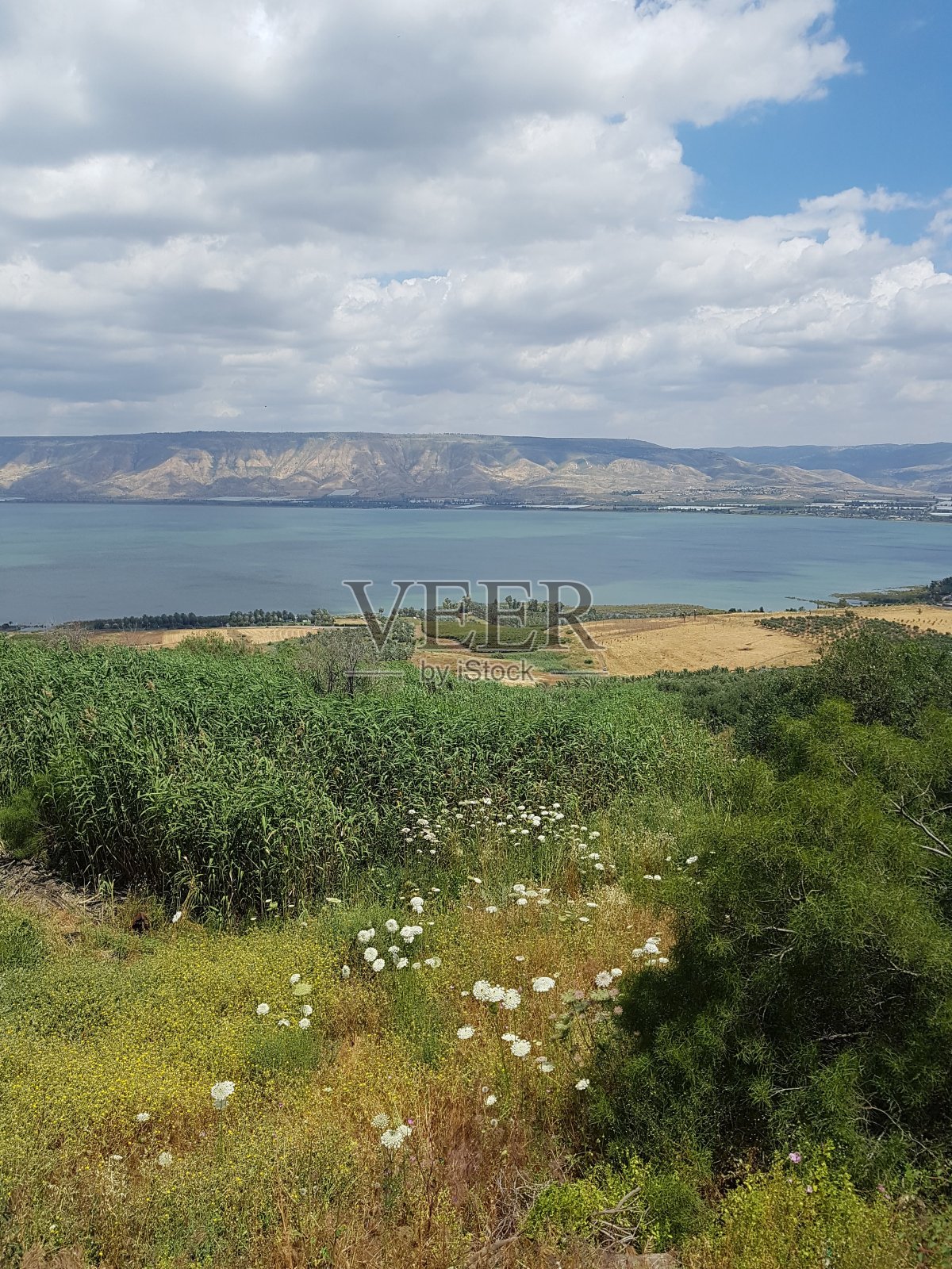 夏季加利利海和戈兰高地的神奇景色，以色列北部照片摄影图片