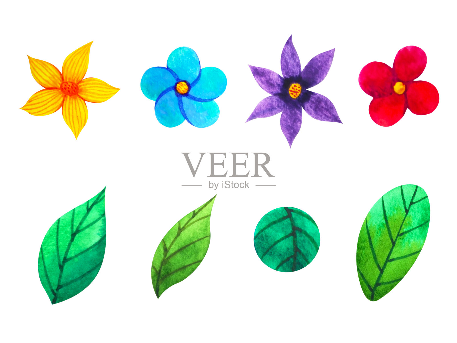 集色彩斑斓的花叶花卉图案水彩画插图设计绘画艺术于白色孤立插画图片素材