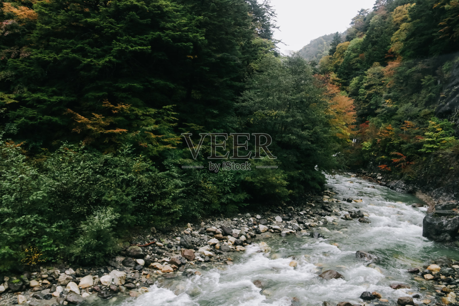 日本长野县的自然风景。照片摄影图片