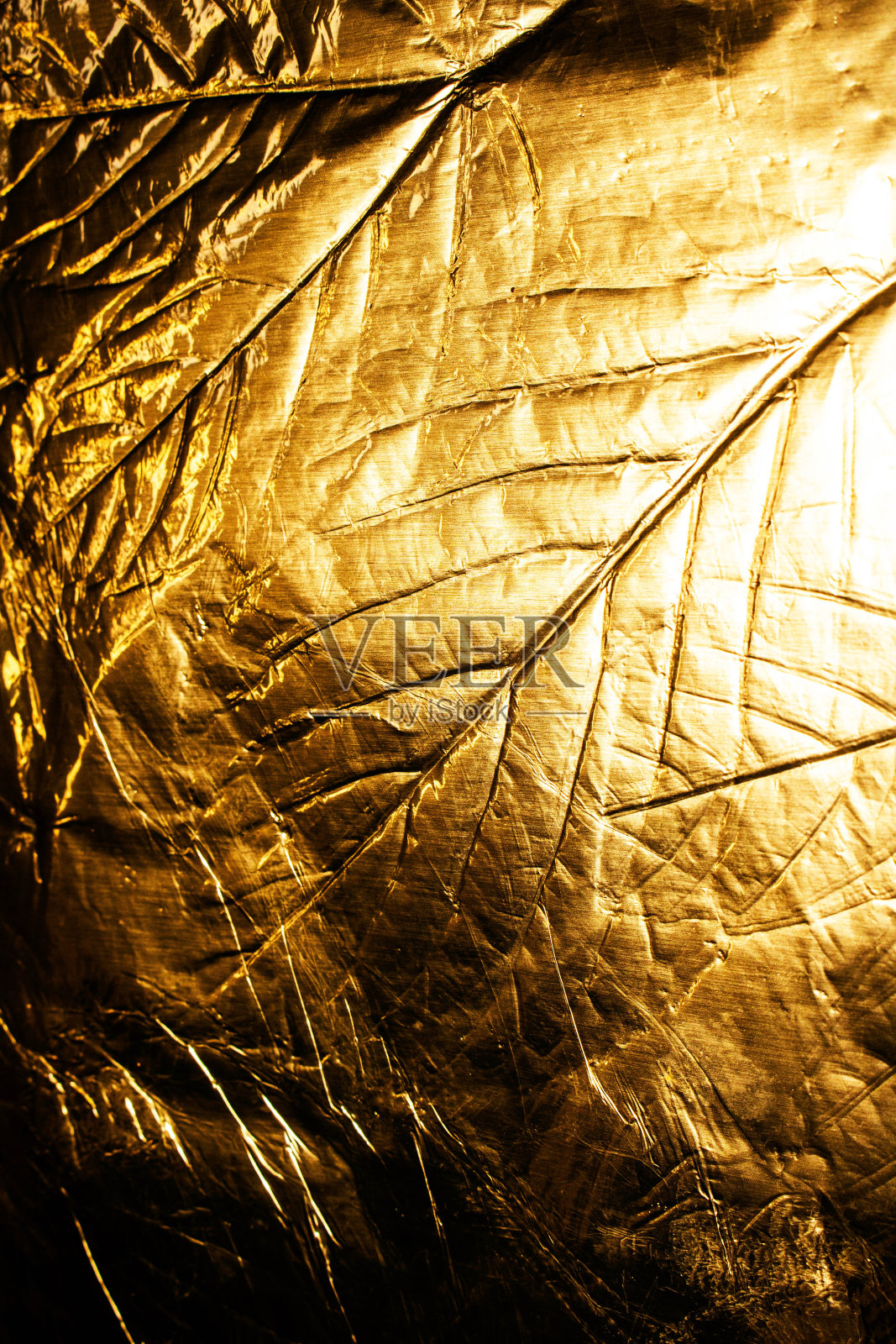 全息箔叶和叶脉纹理光泽图案照片摄影图片