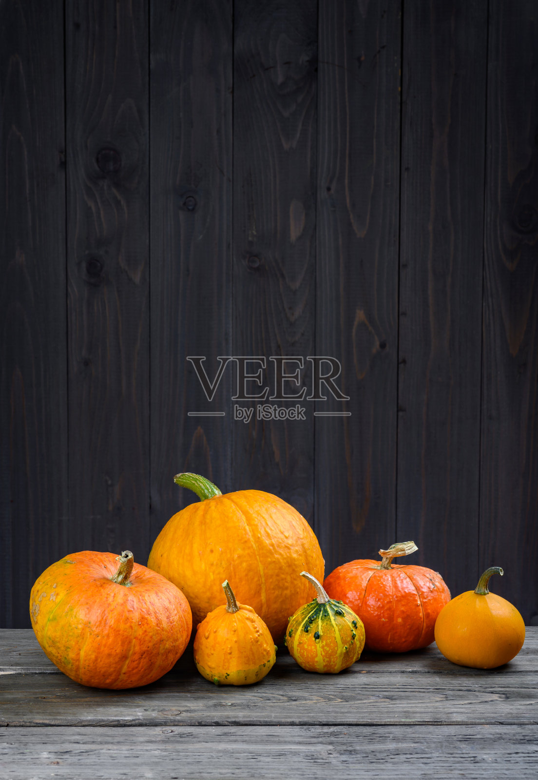 南瓜在黑暗的木制背景。秋季万圣节收获感恩节概念与文字空间。南瓜组成照片摄影图片