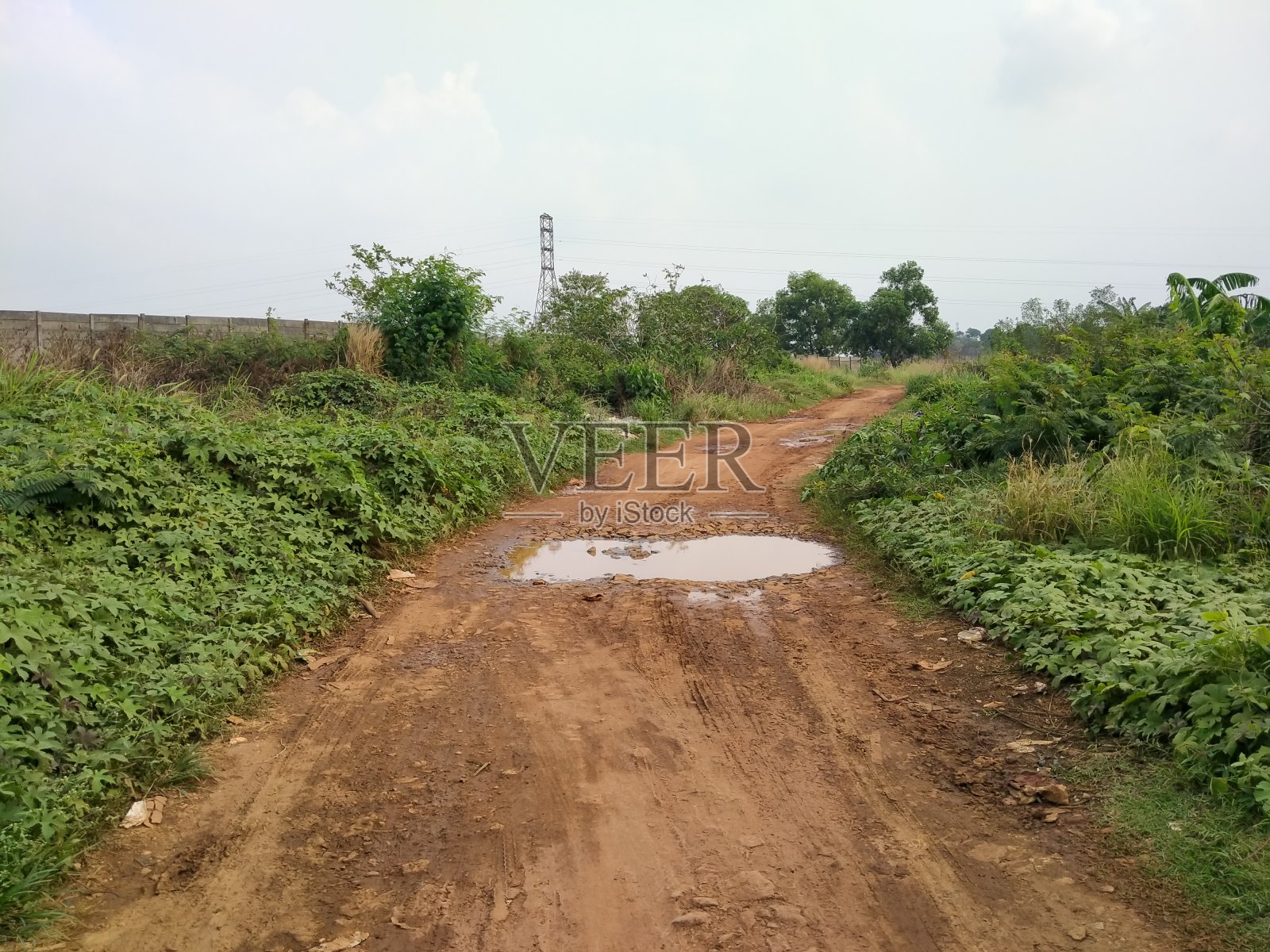 红色的土路周围长满了野草照片摄影图片