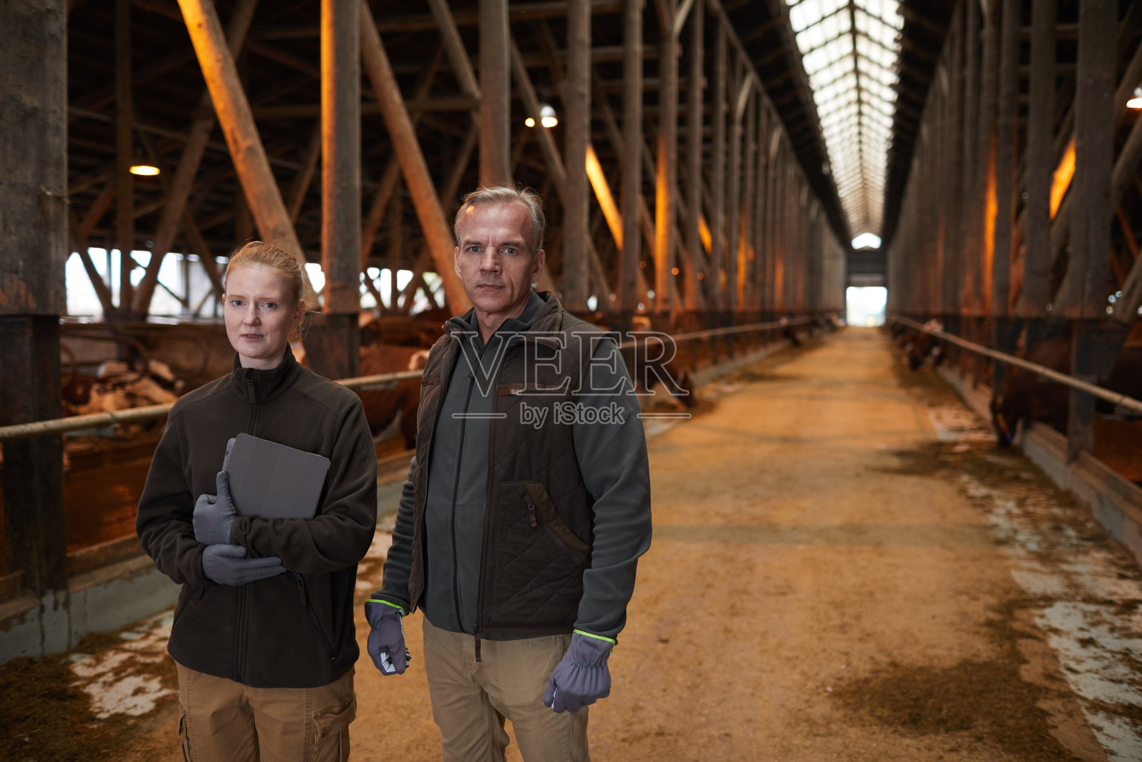 家庭在农场工作的肖像照片摄影图片