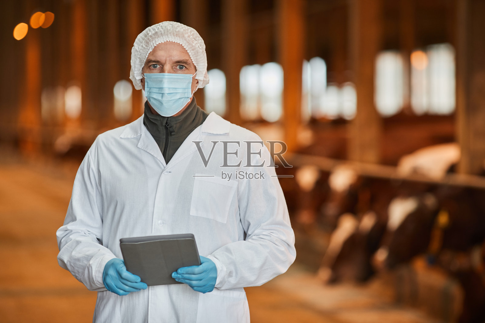 兽医在农场照片摄影图片